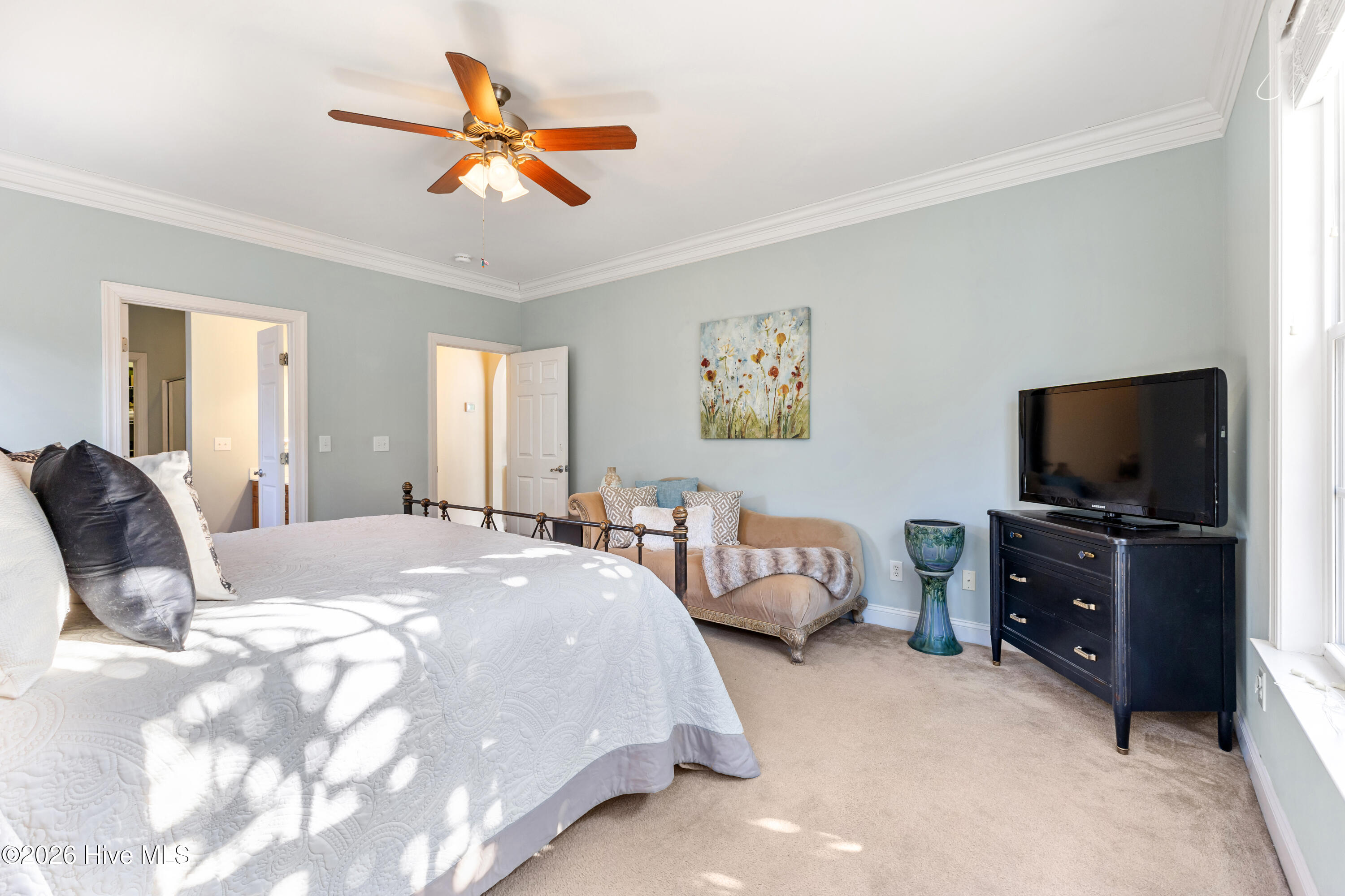 100553841 | Photo 21