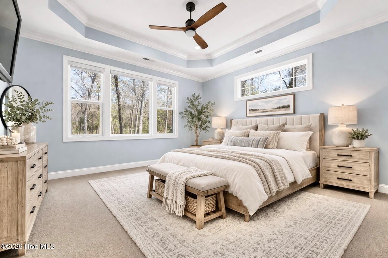 100563423 | Photo 22