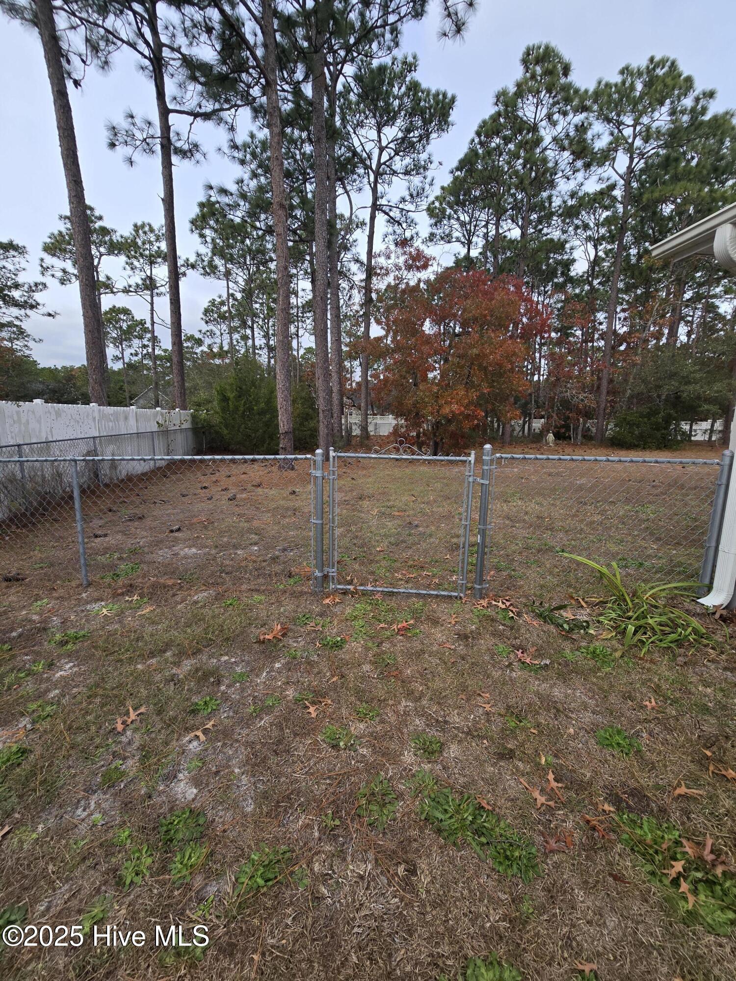 100543603 | Photo 39