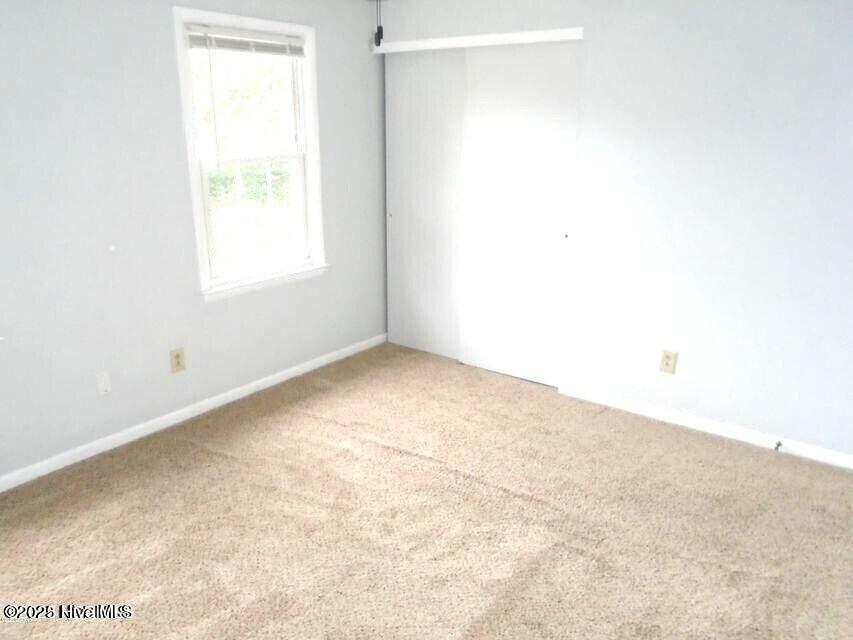 100532098 | Photo 10