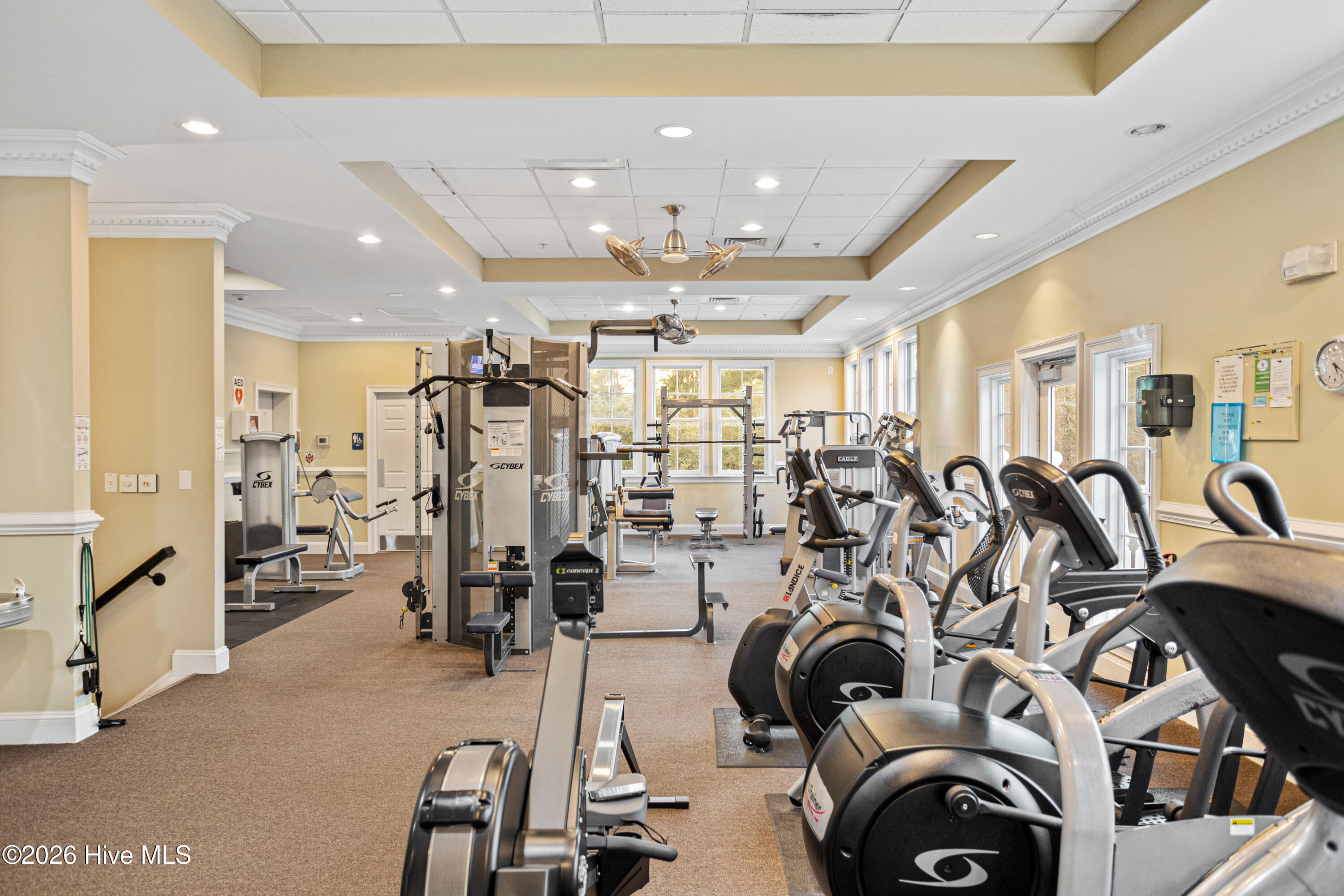 100560596 | Photo 59