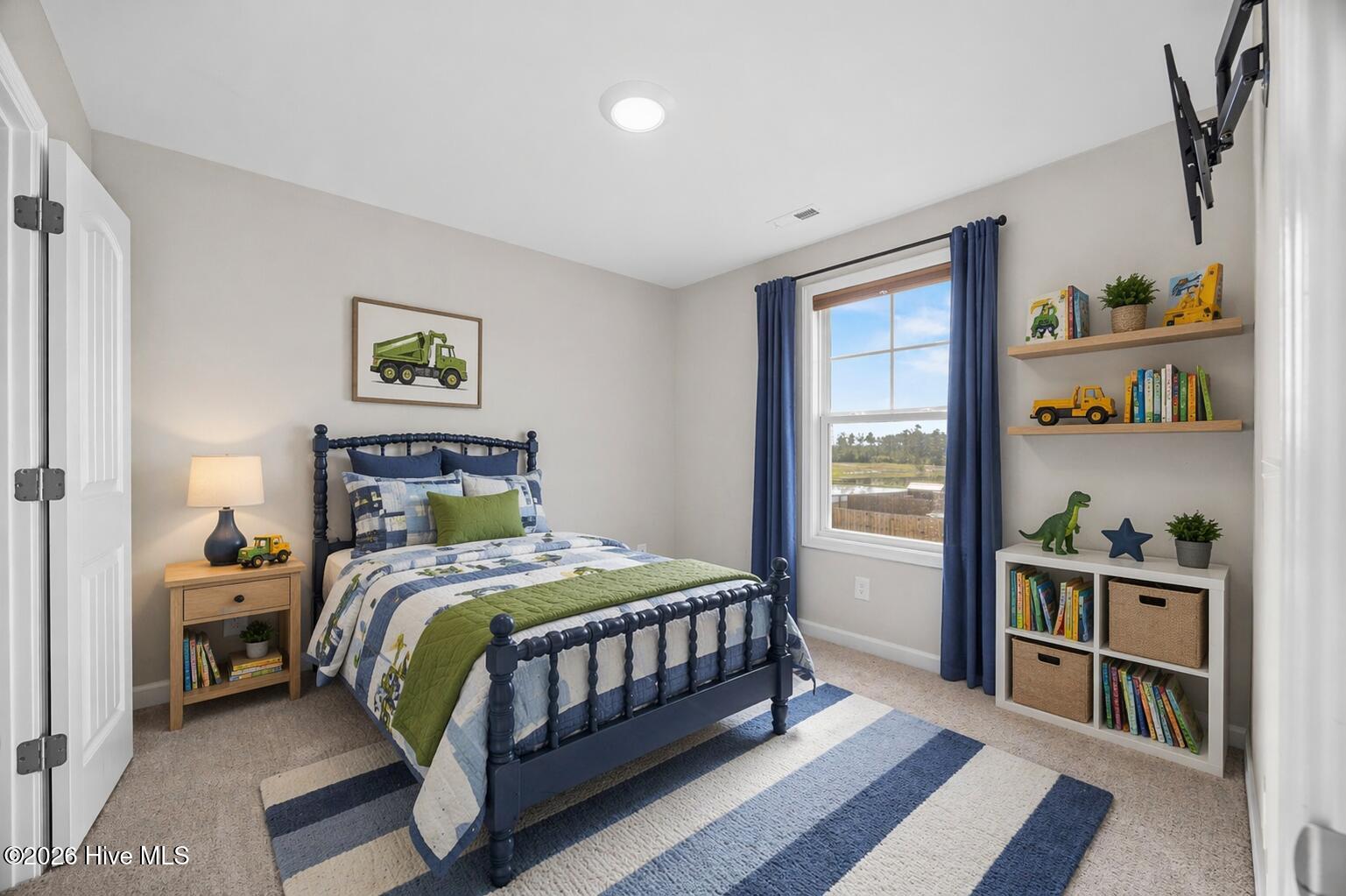 100569067 | Photo 35