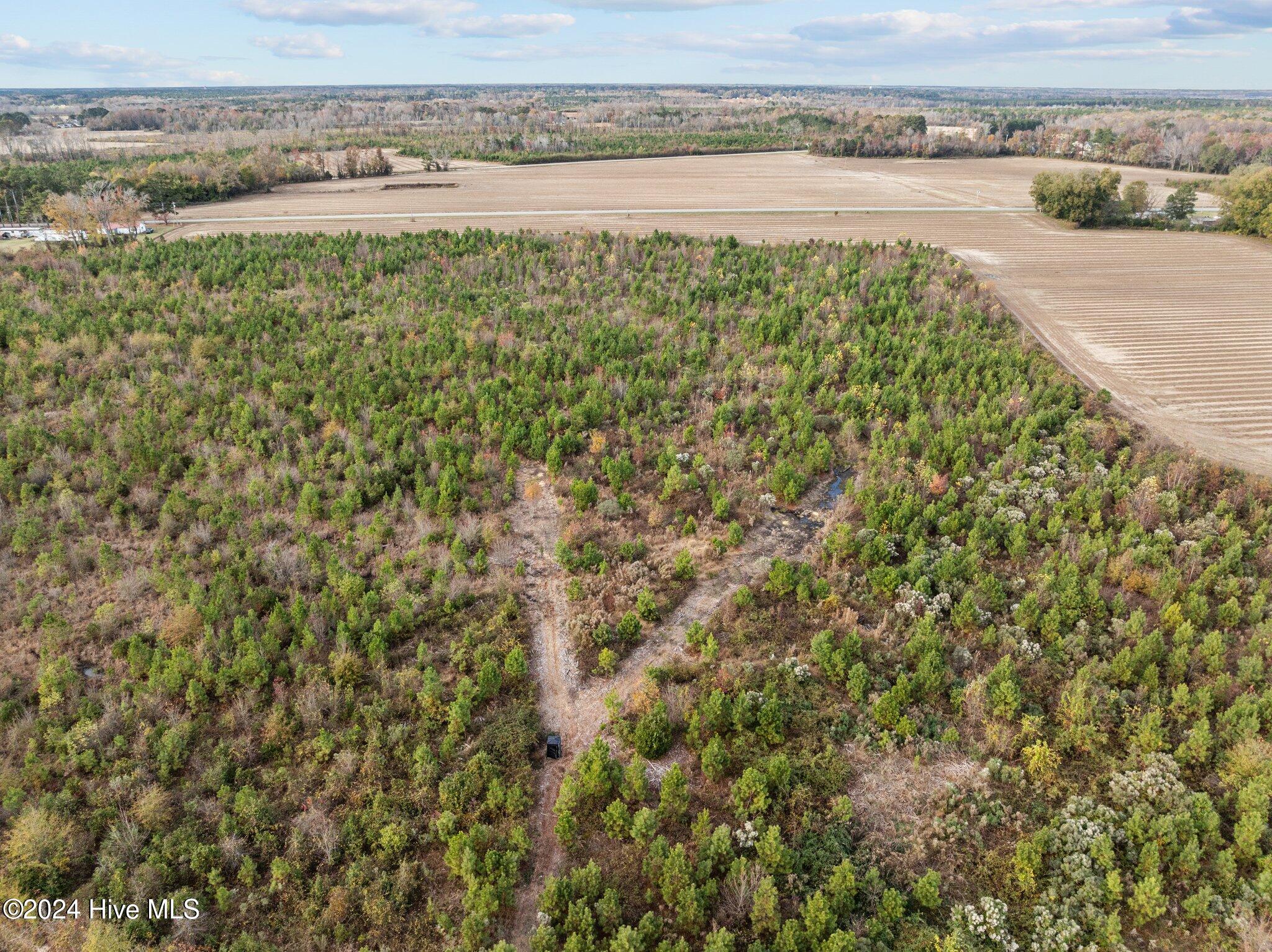 0 Nc 124, Pinetops, NC, 27864