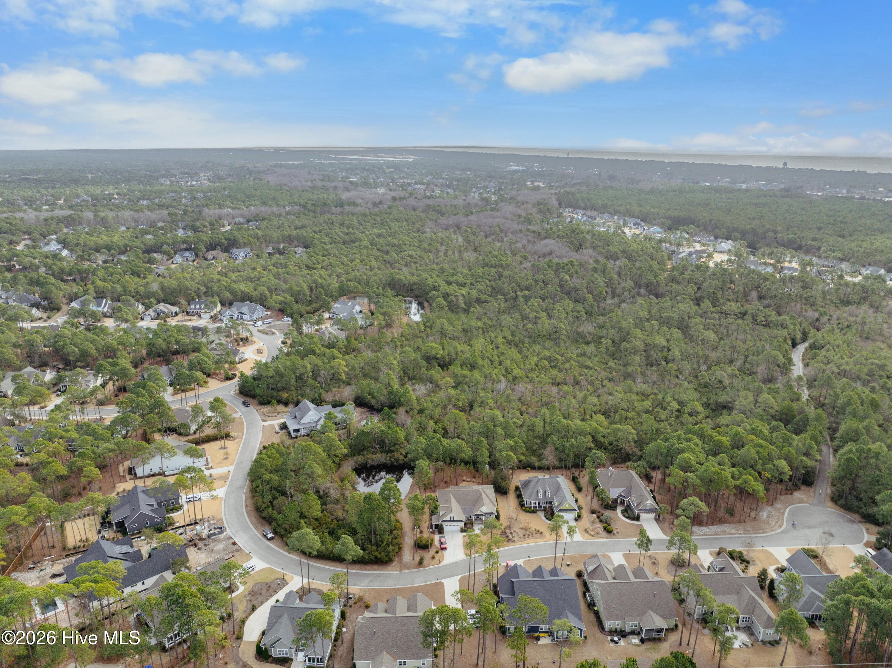 100555915 | Photo 60