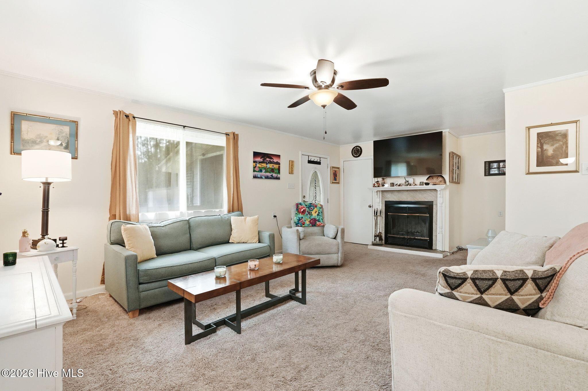 100565168 | Photo 15