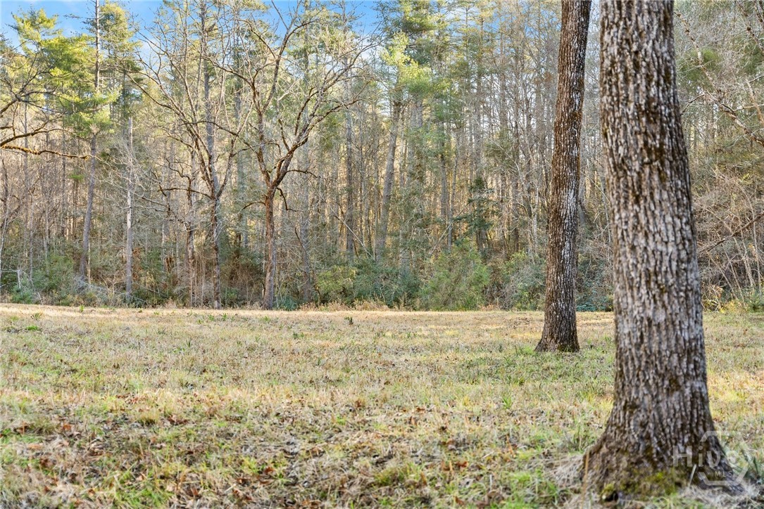 Shoal Creek Tract Potential Home Site
