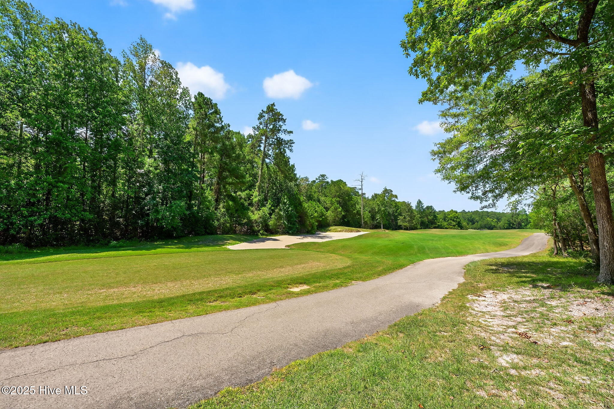 100519533 | Photo 18