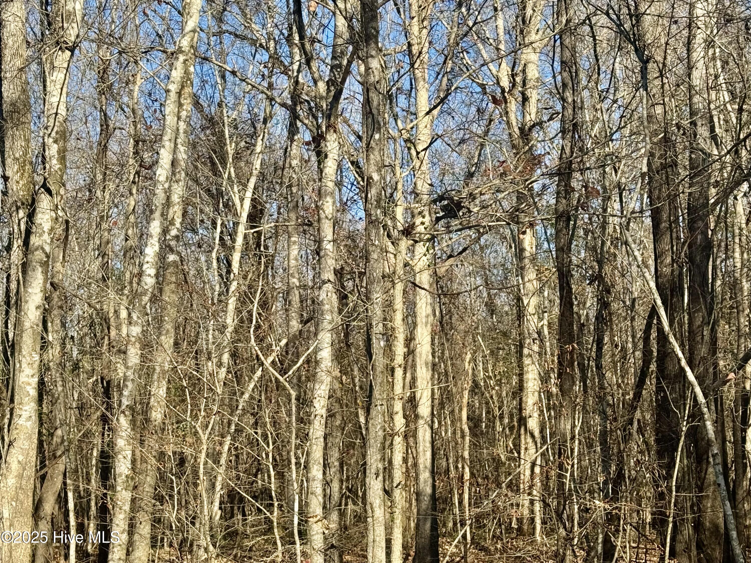 100545170 | Photo 10