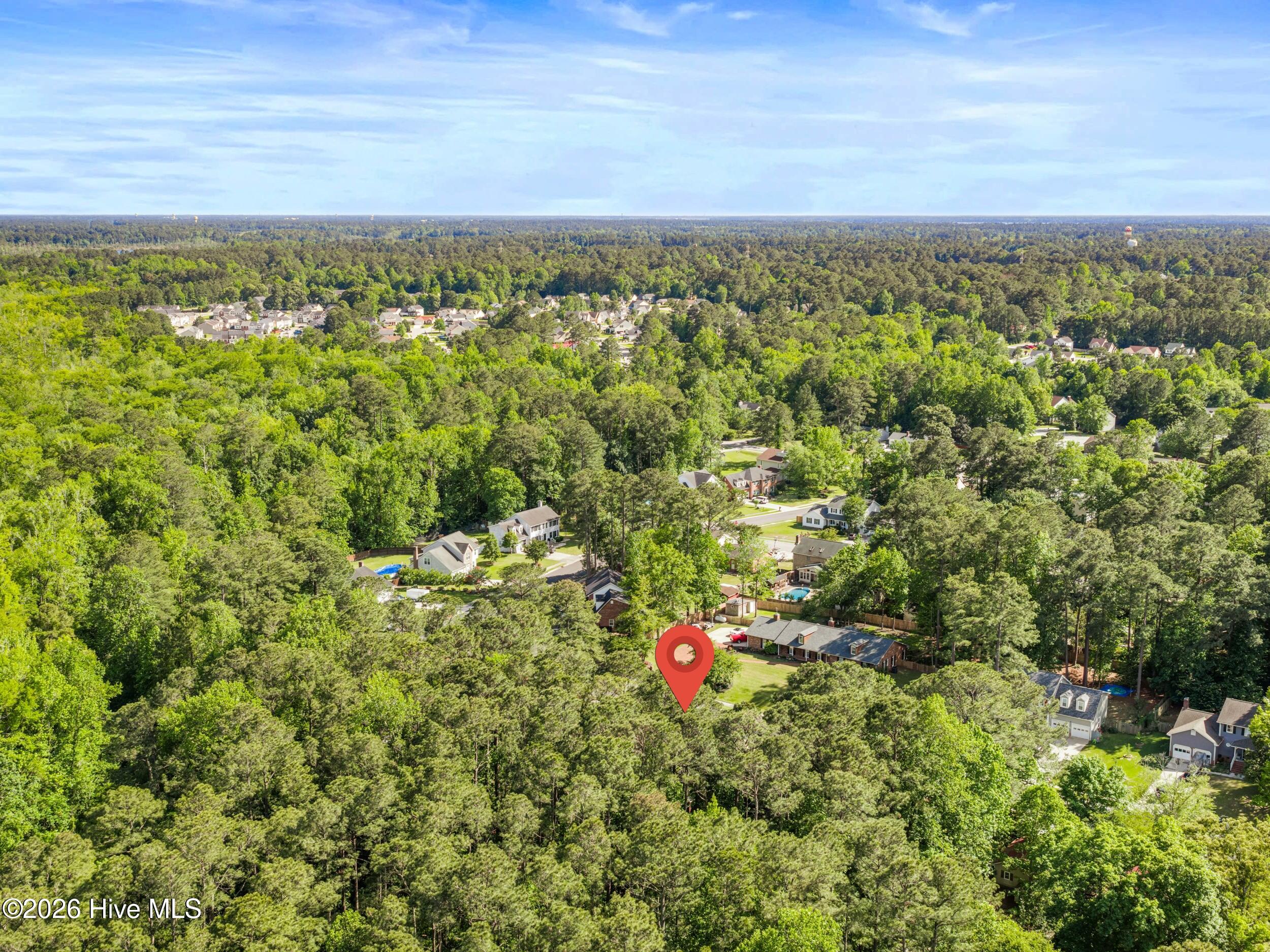 100570486 | Photo 85