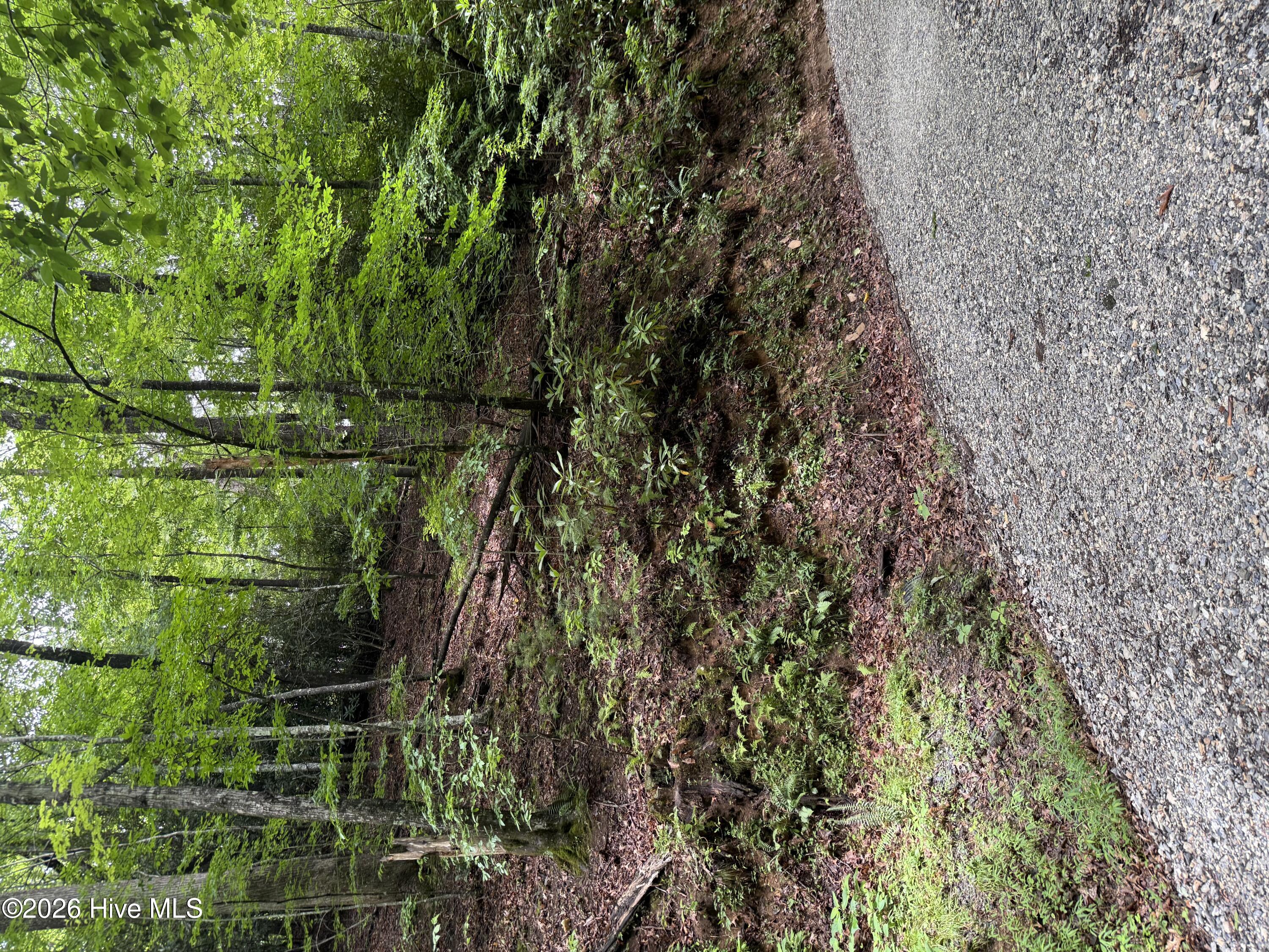 9 Indian Lake, Topton, North Carolina, 0 ,Residential Lot,For sale,Indian Lake,100594493