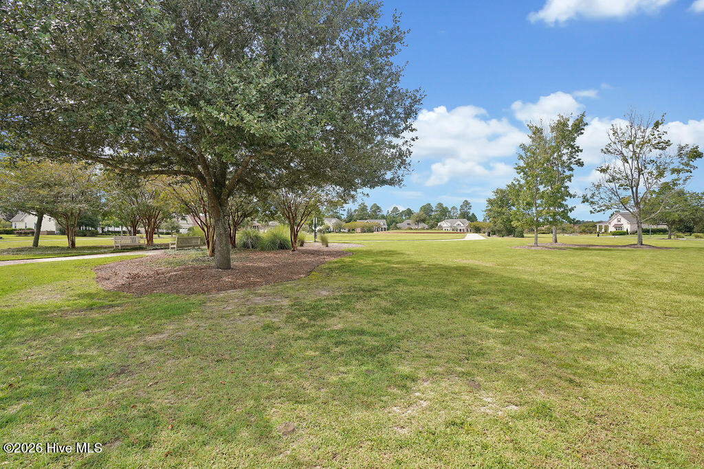 100565235 | Photo 161