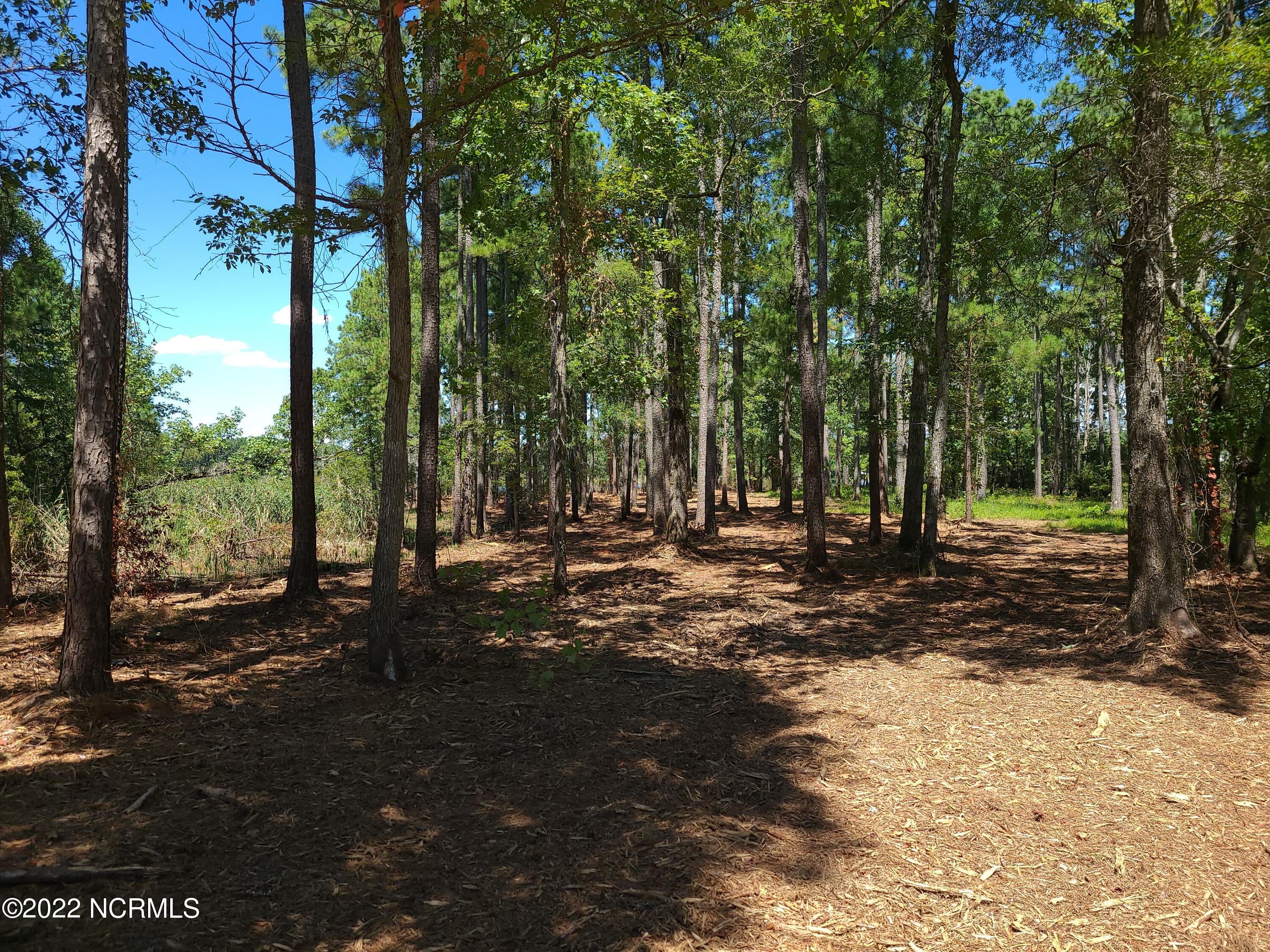 6 Ashton Drive, Bath, NC, 27808