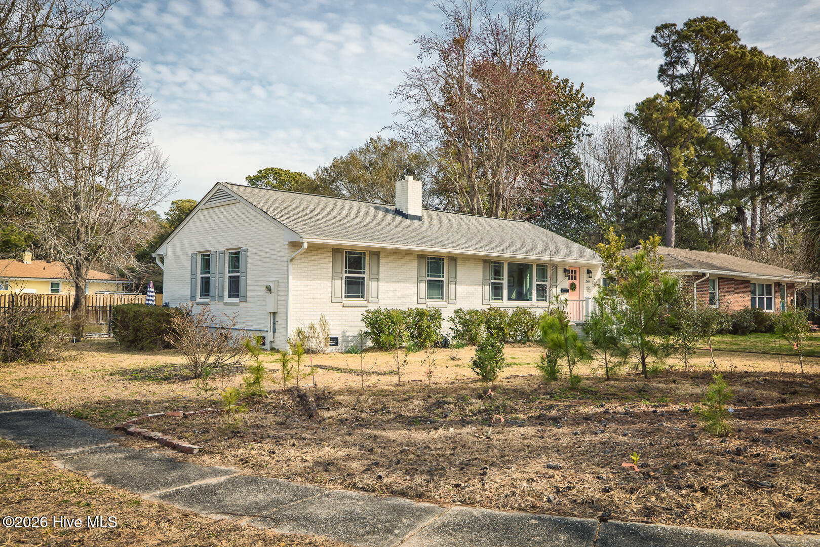 100556956 | Photo 81