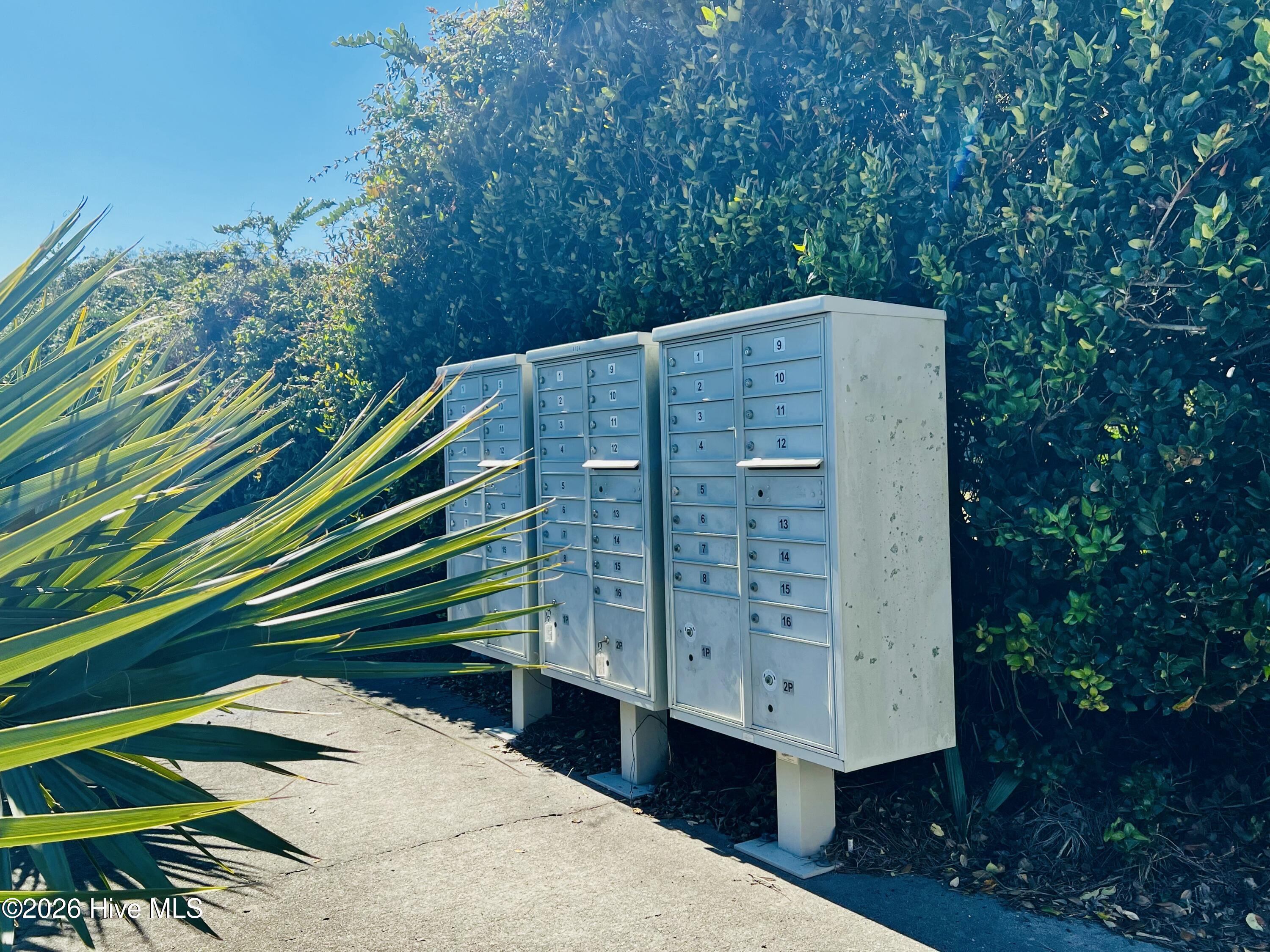 100550987 | Photo 28