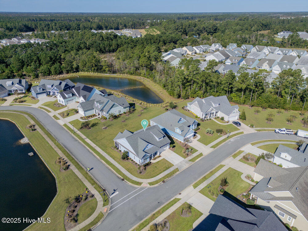 100535537 | Photo 31