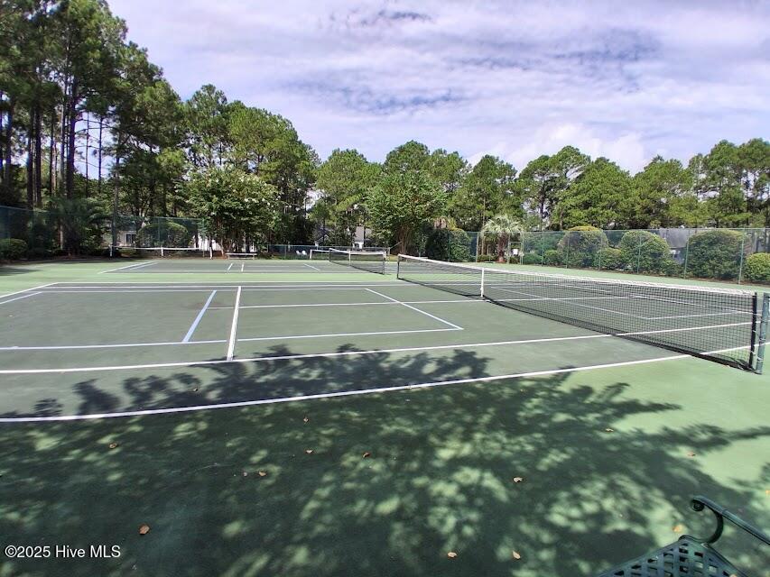 100534819 | Photo 30