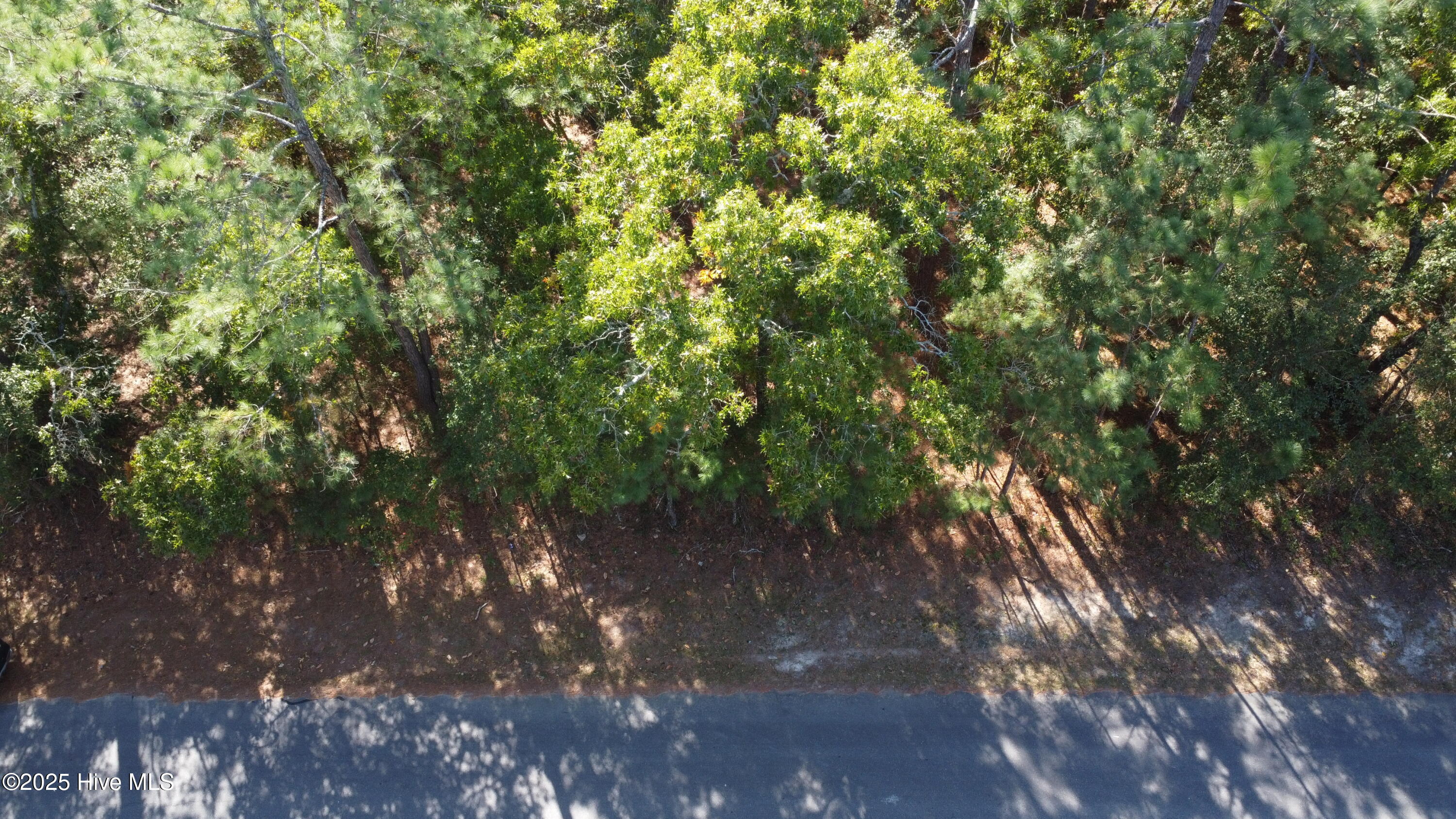 100537976 | Photo 2