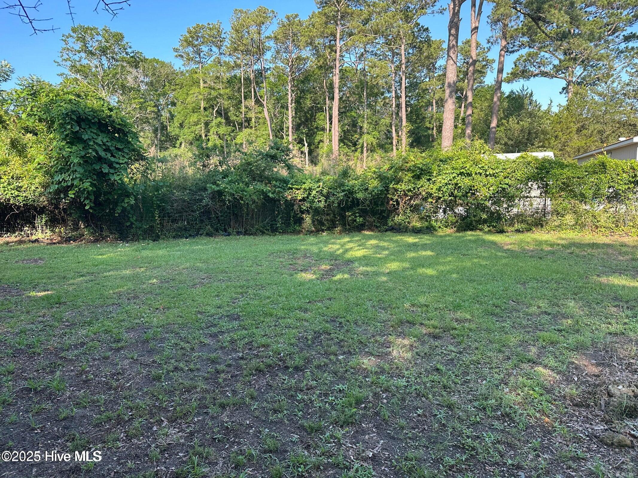 100526094 | Photo 12