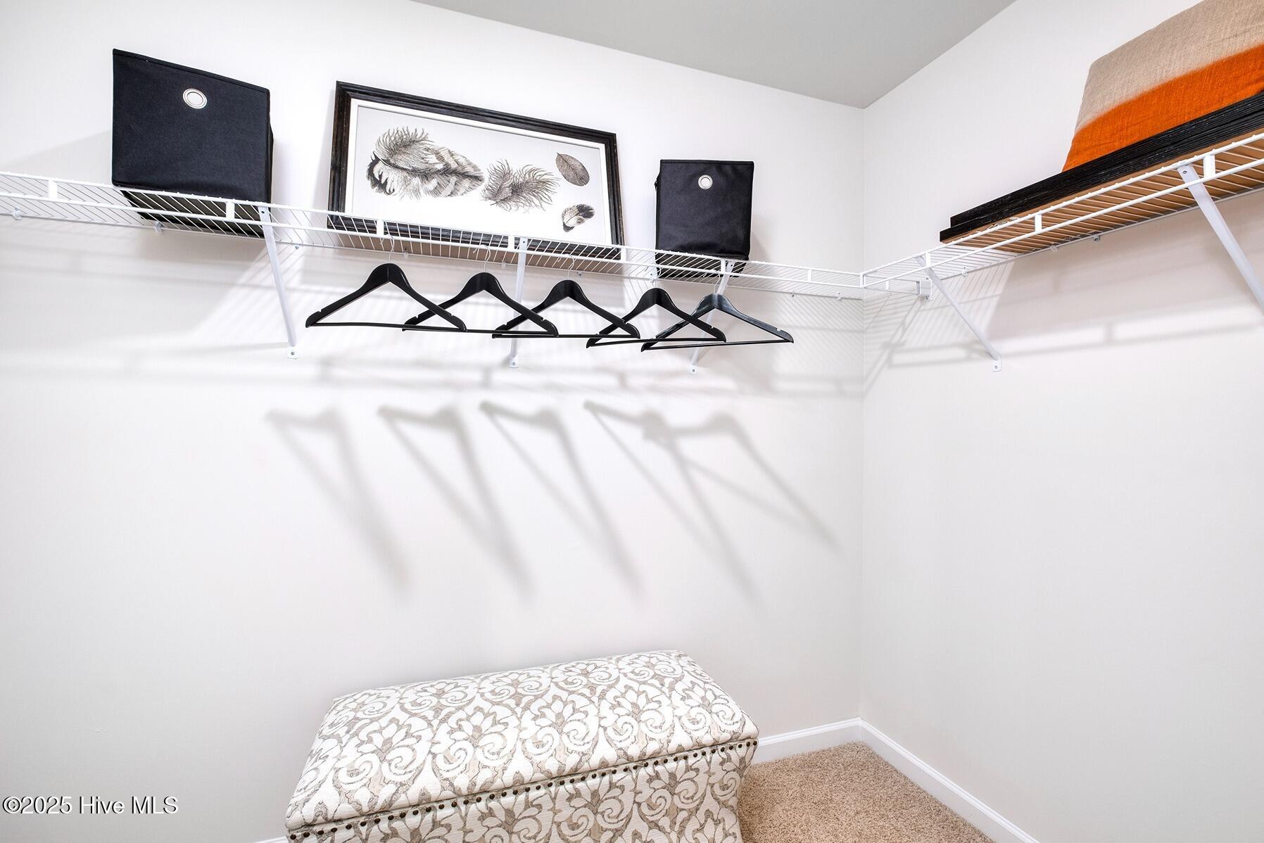 100561791 | Photo 15