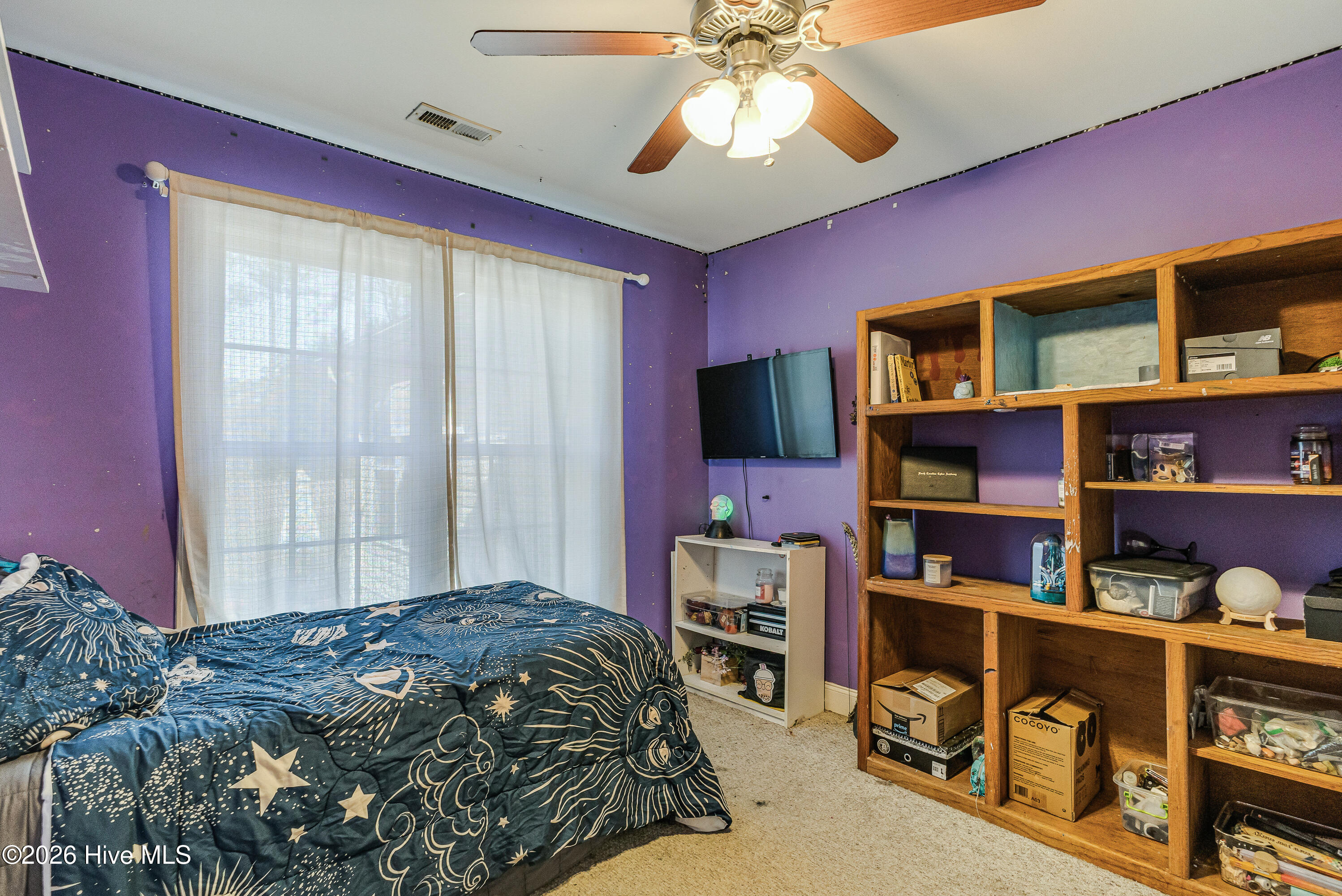 100559494 | Photo 19