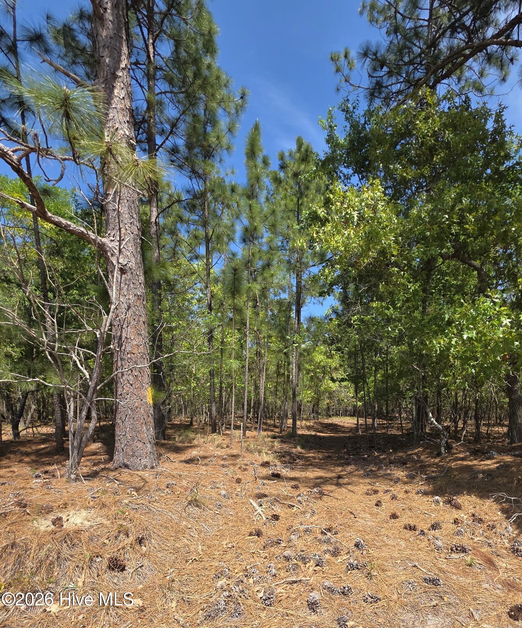 188 Shagbark Road, Seven Lakes, NC, 27376