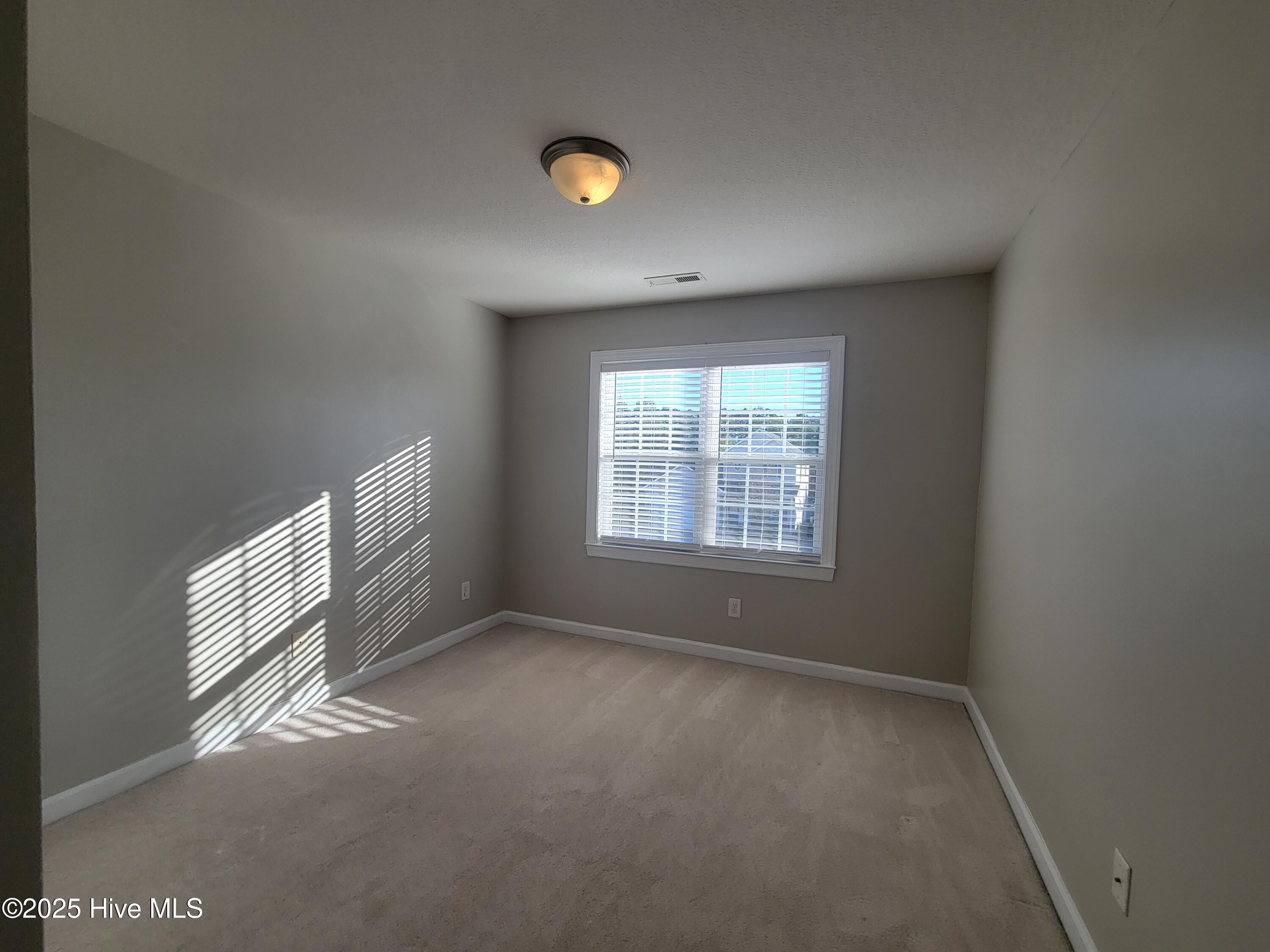 100537987 | Photo 15