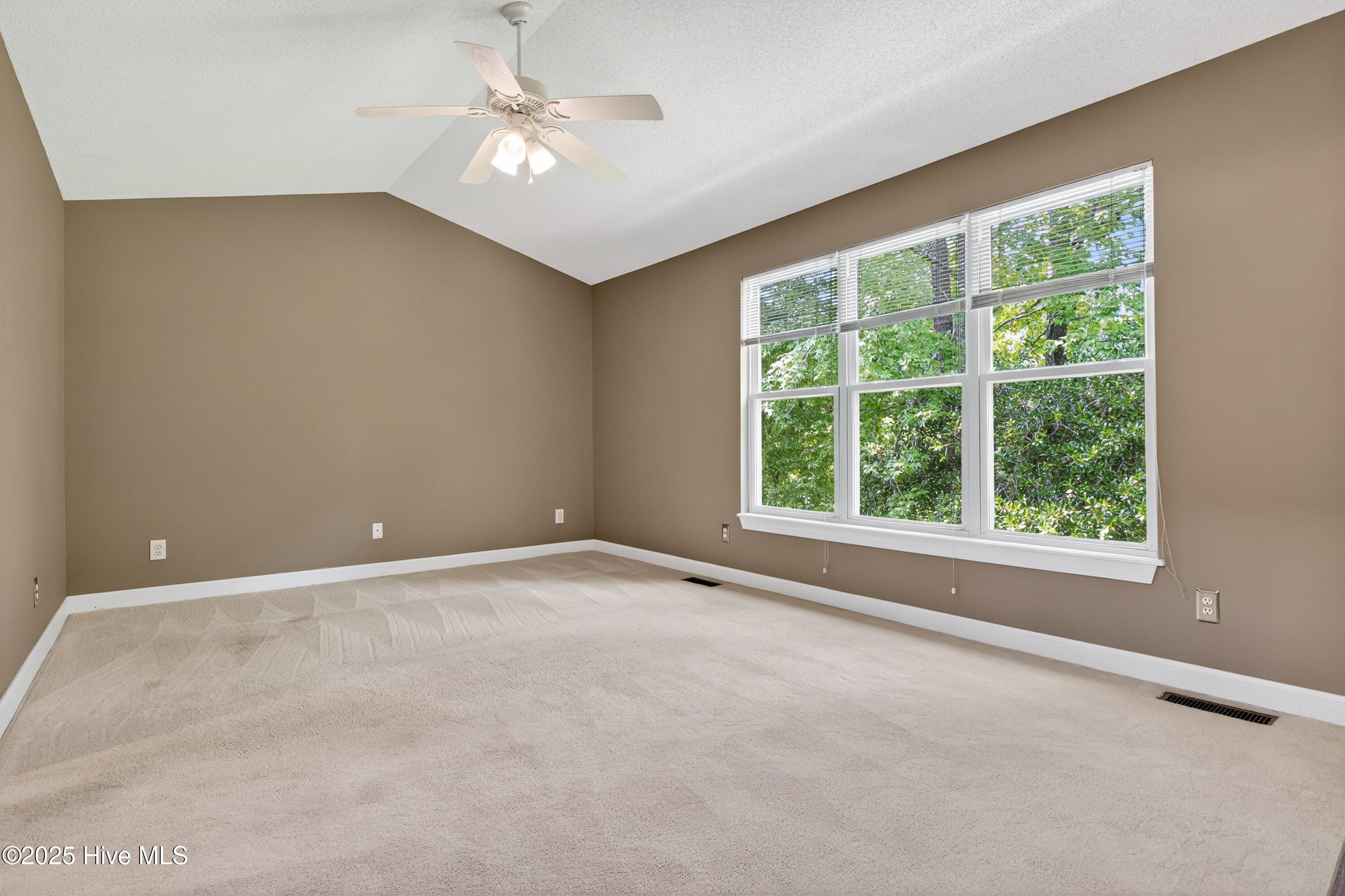 100526304 | Photo 21