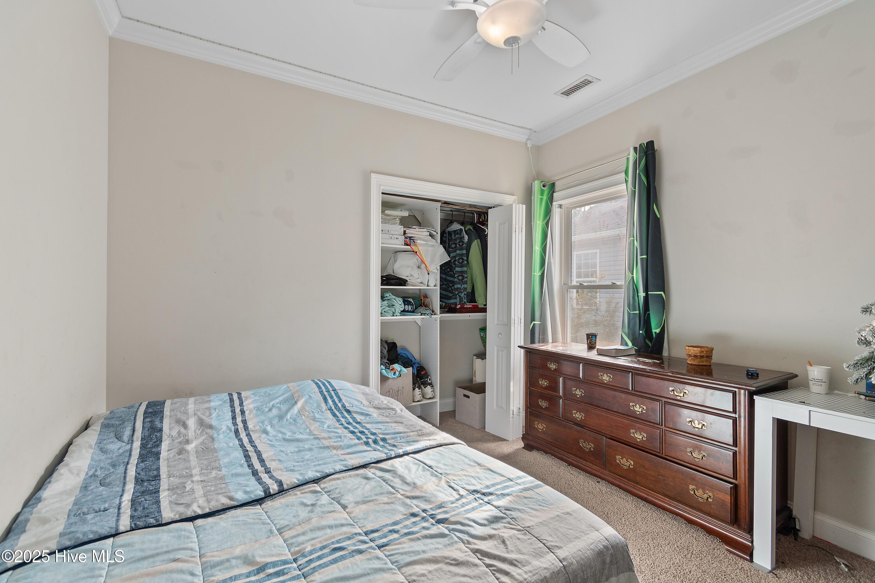 100546132 | Photo 23