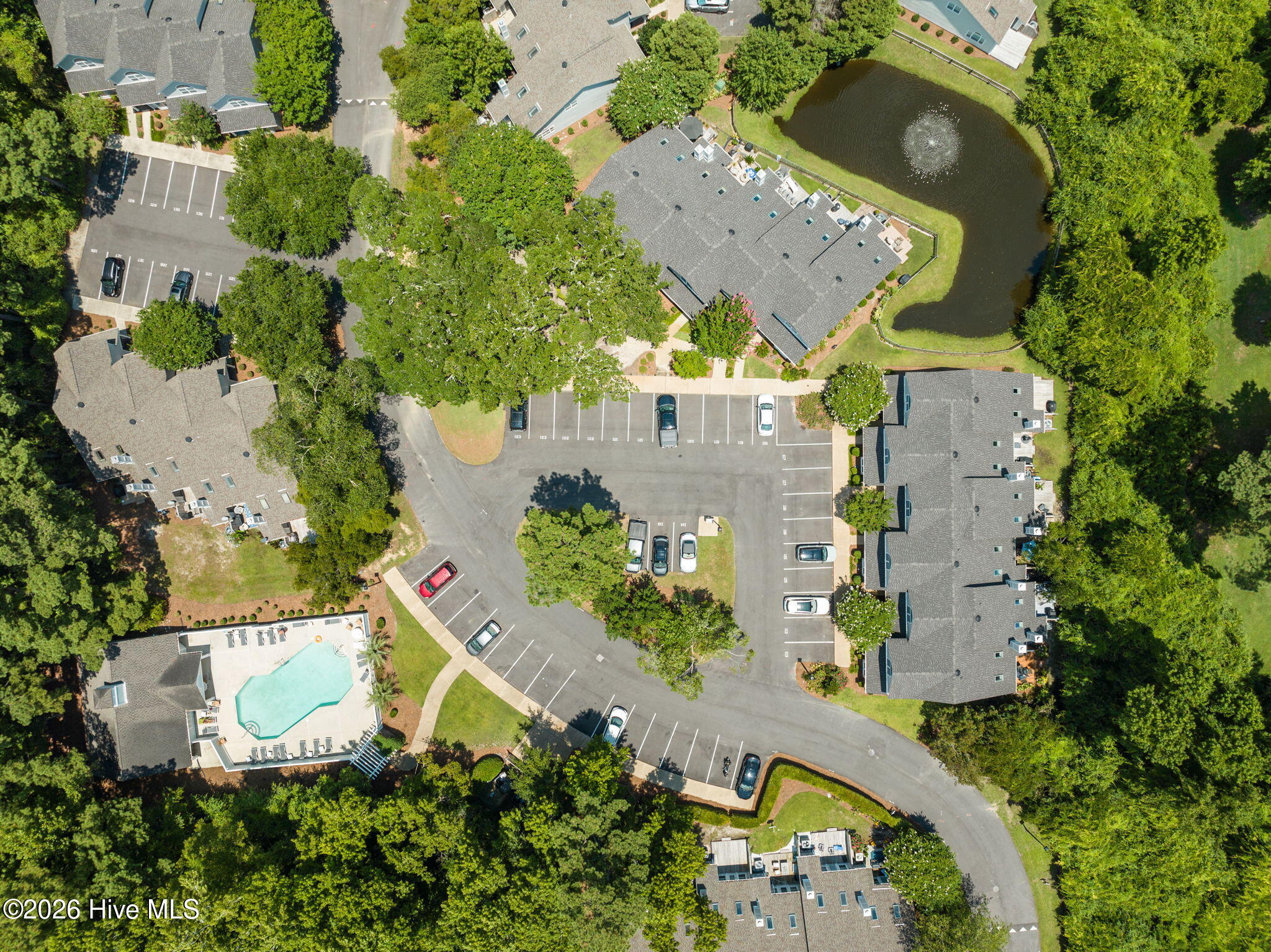 100558805 | Photo 37