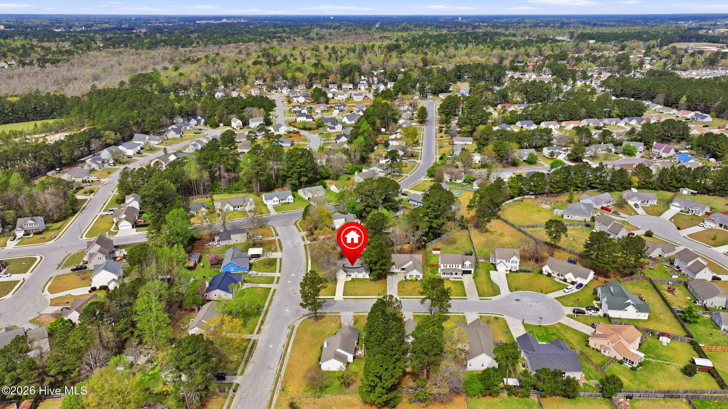 100562899 | Photo 28