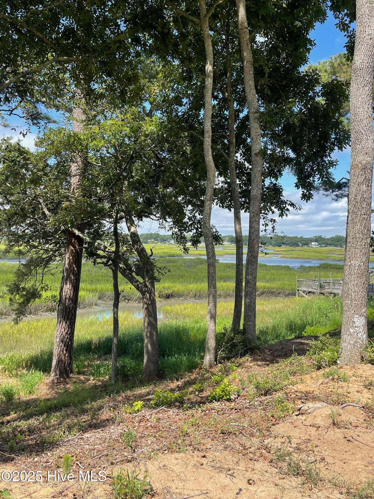 100523698 | Photo 21