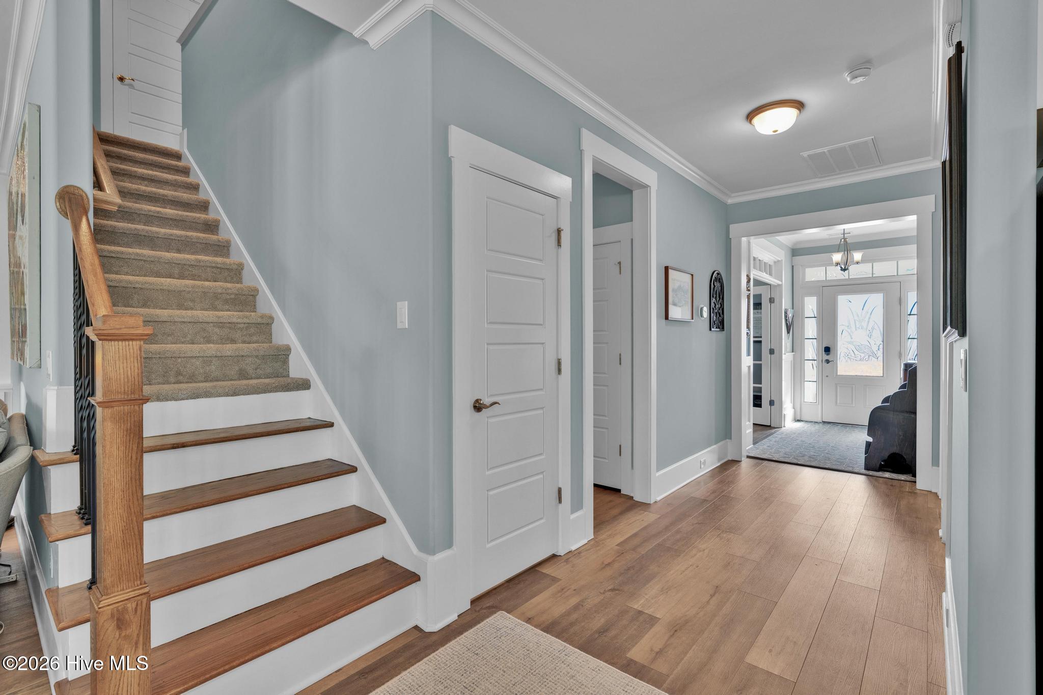 100554961 | Photo 34