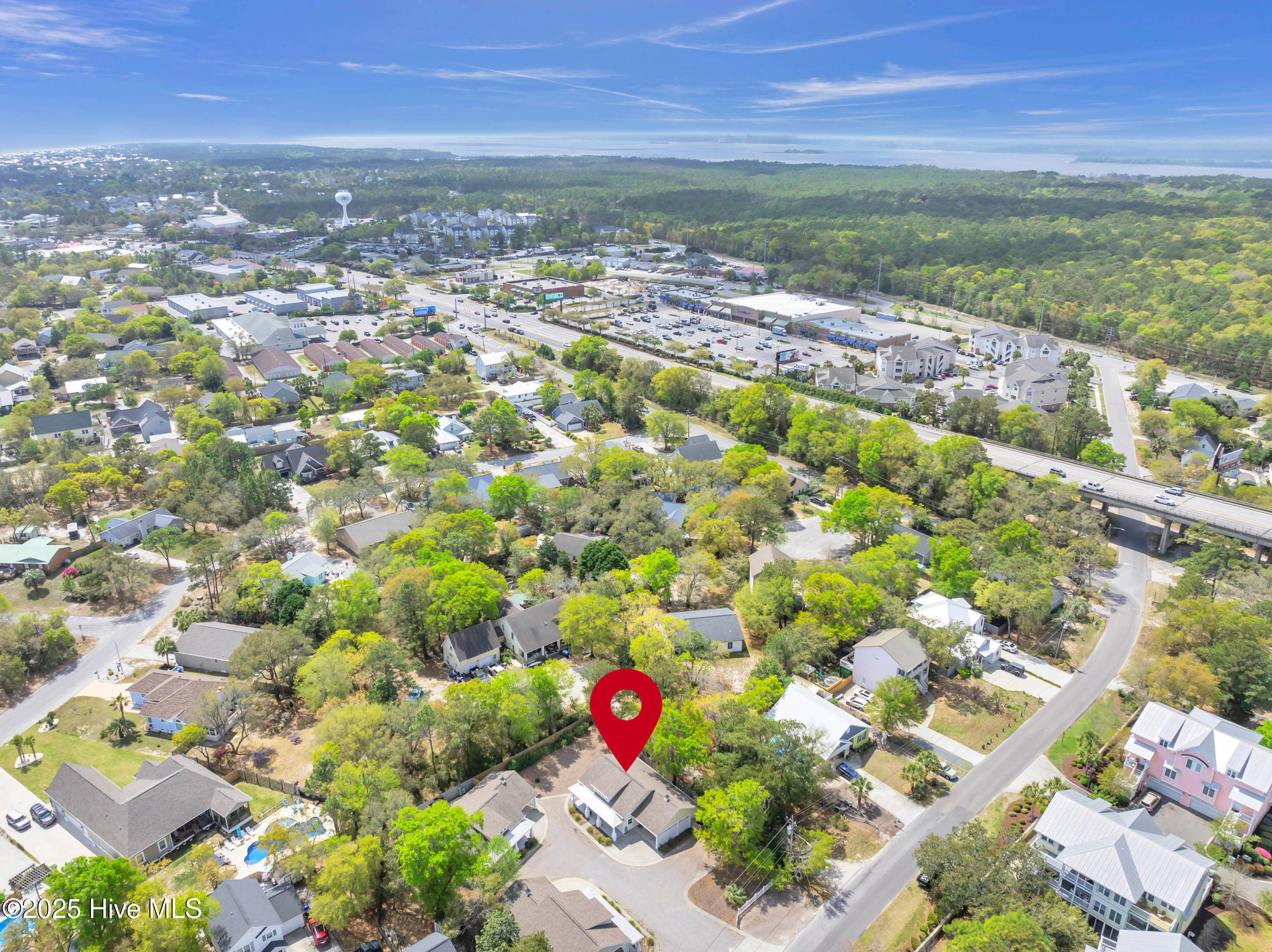 100499917 | Photo 26