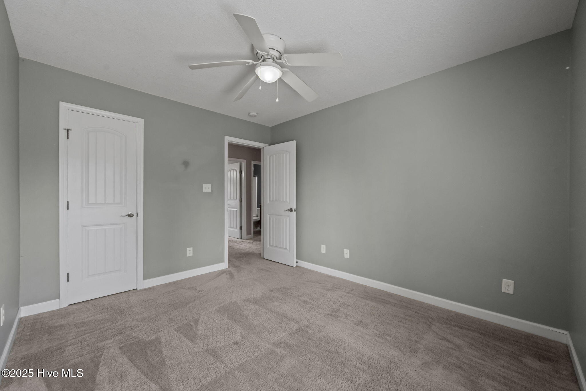 100546071 | Photo 46