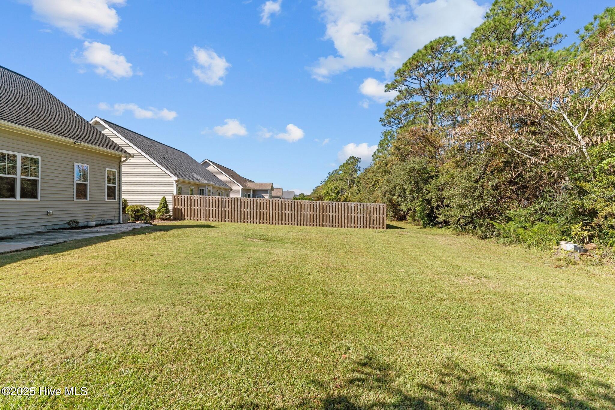 100537665 | Photo 40