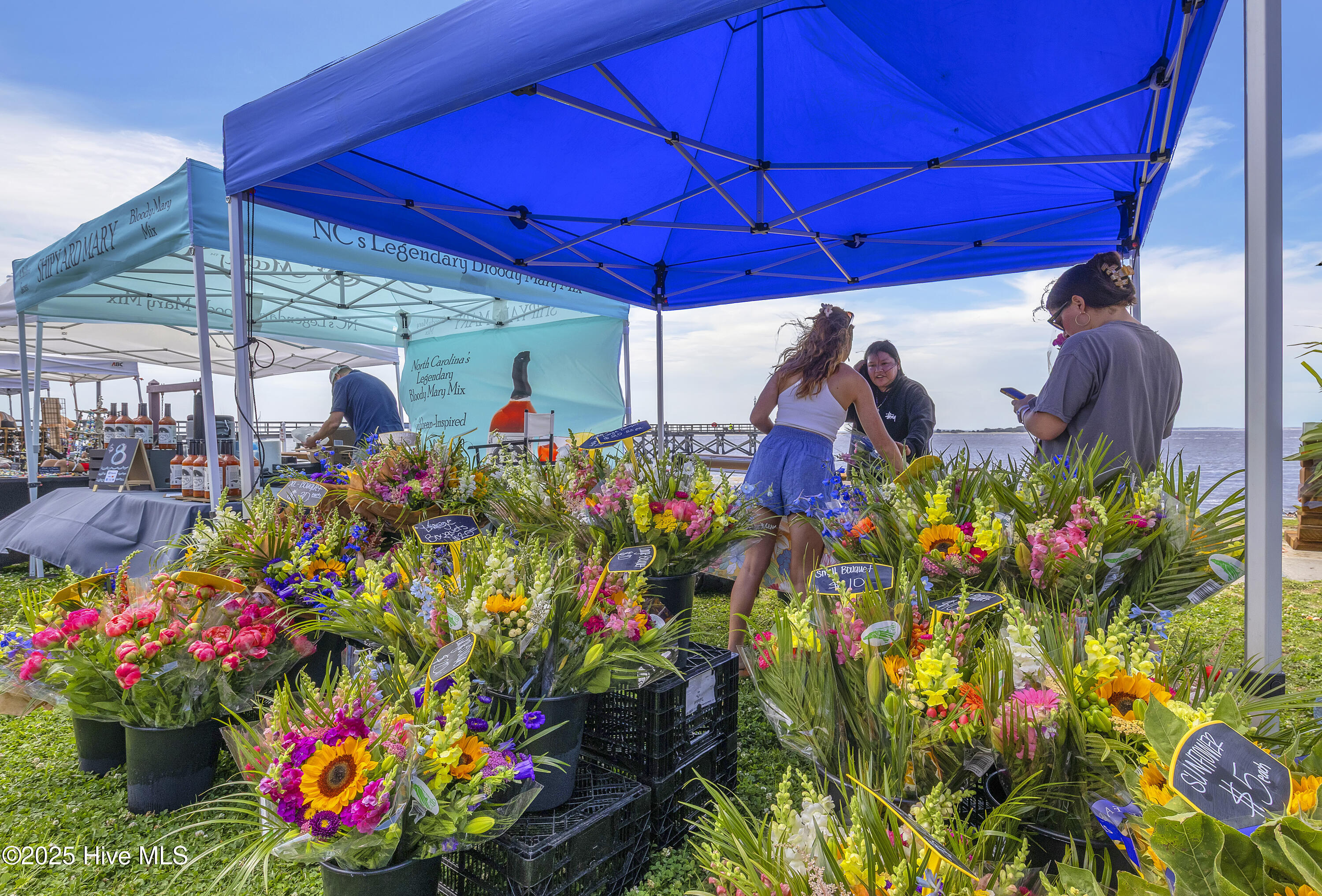 100531116 | Photo 31