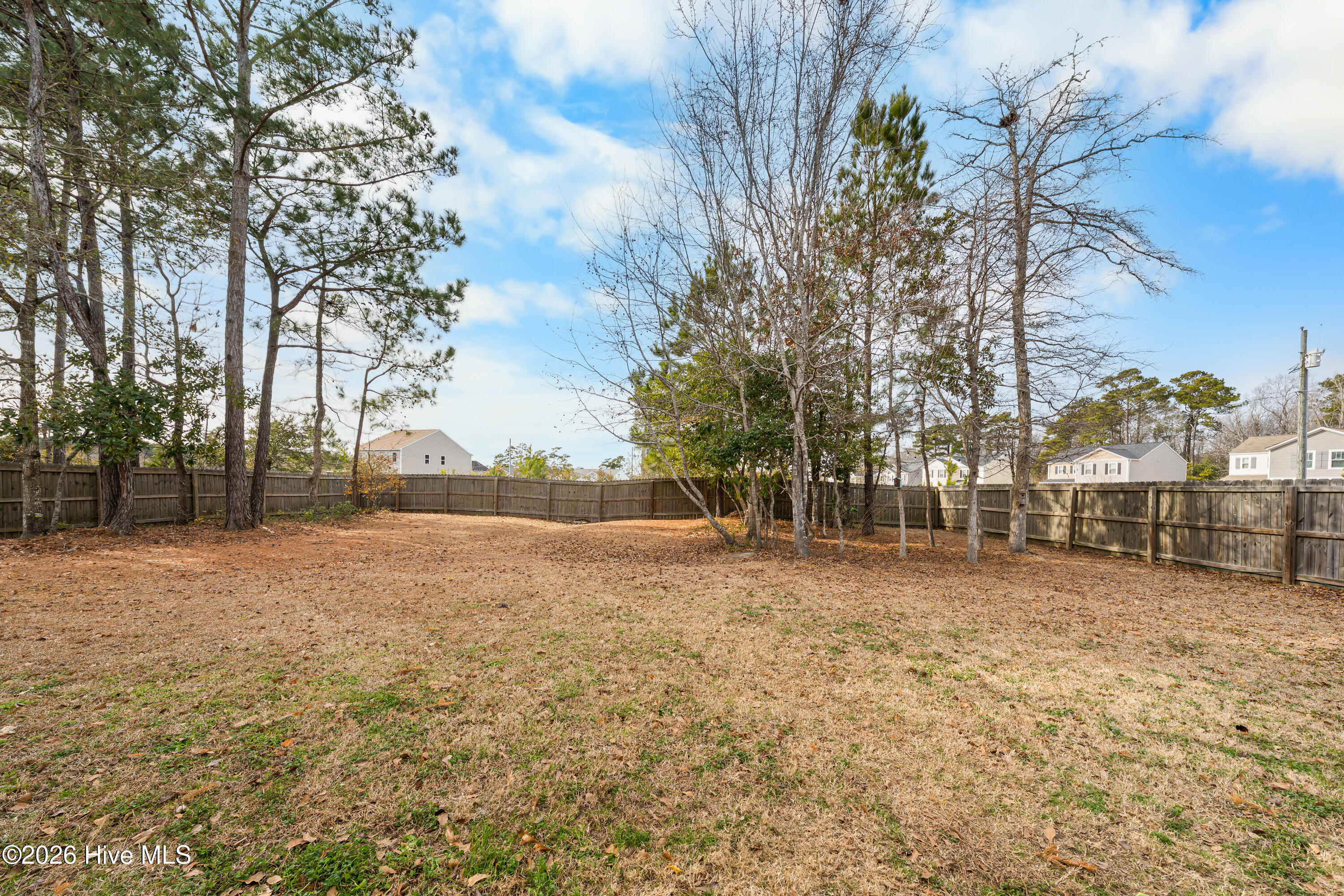 100552885 | Photo 31