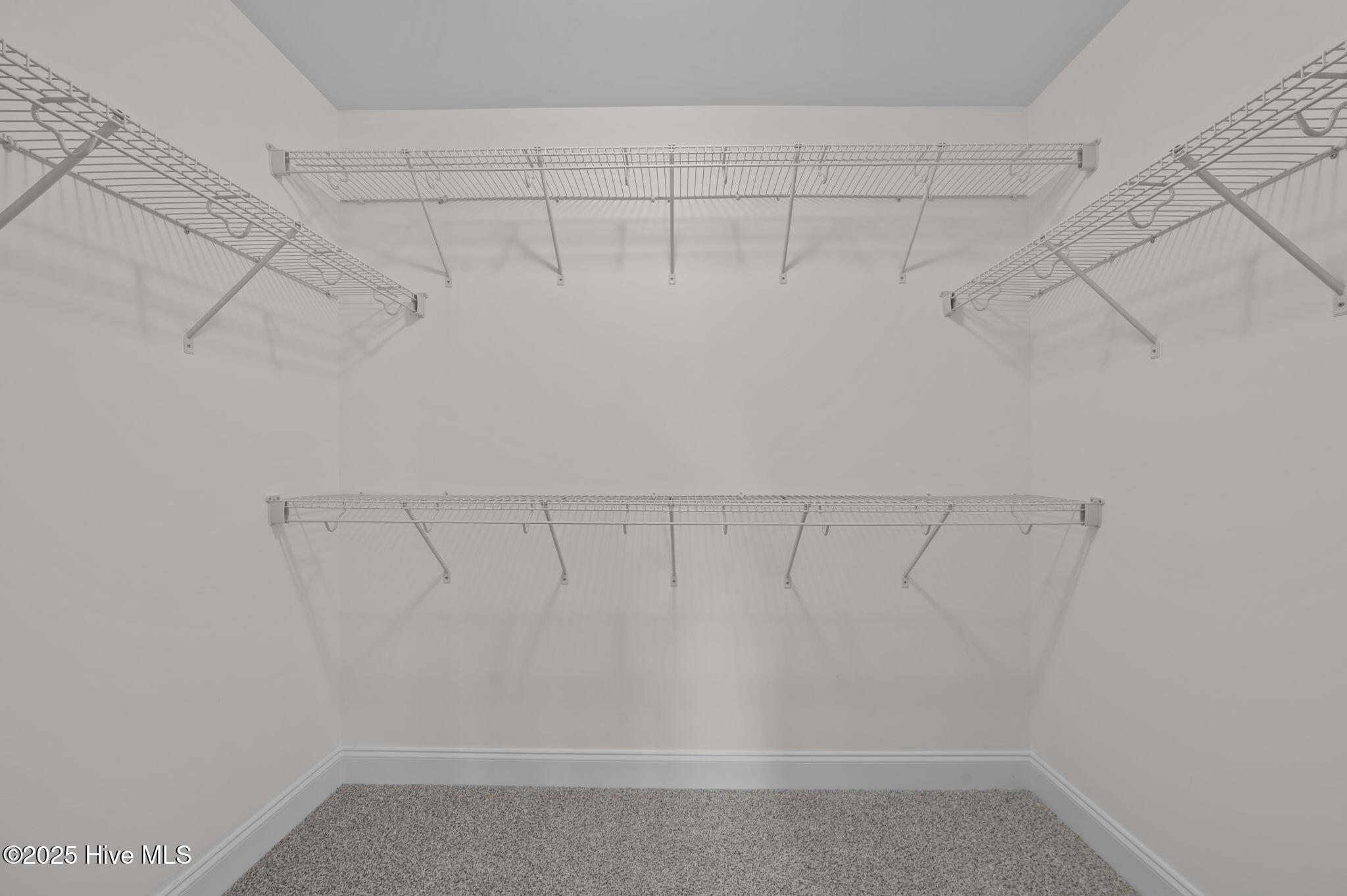 709 Oleander Drive, Greenville, NC, 27858