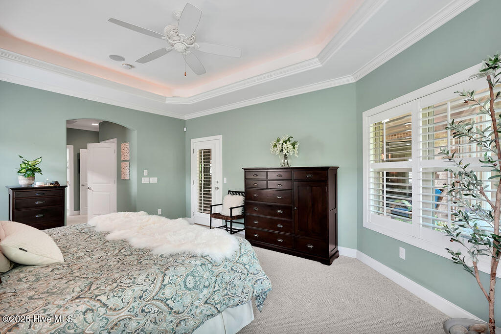 100562114 | Photo 20