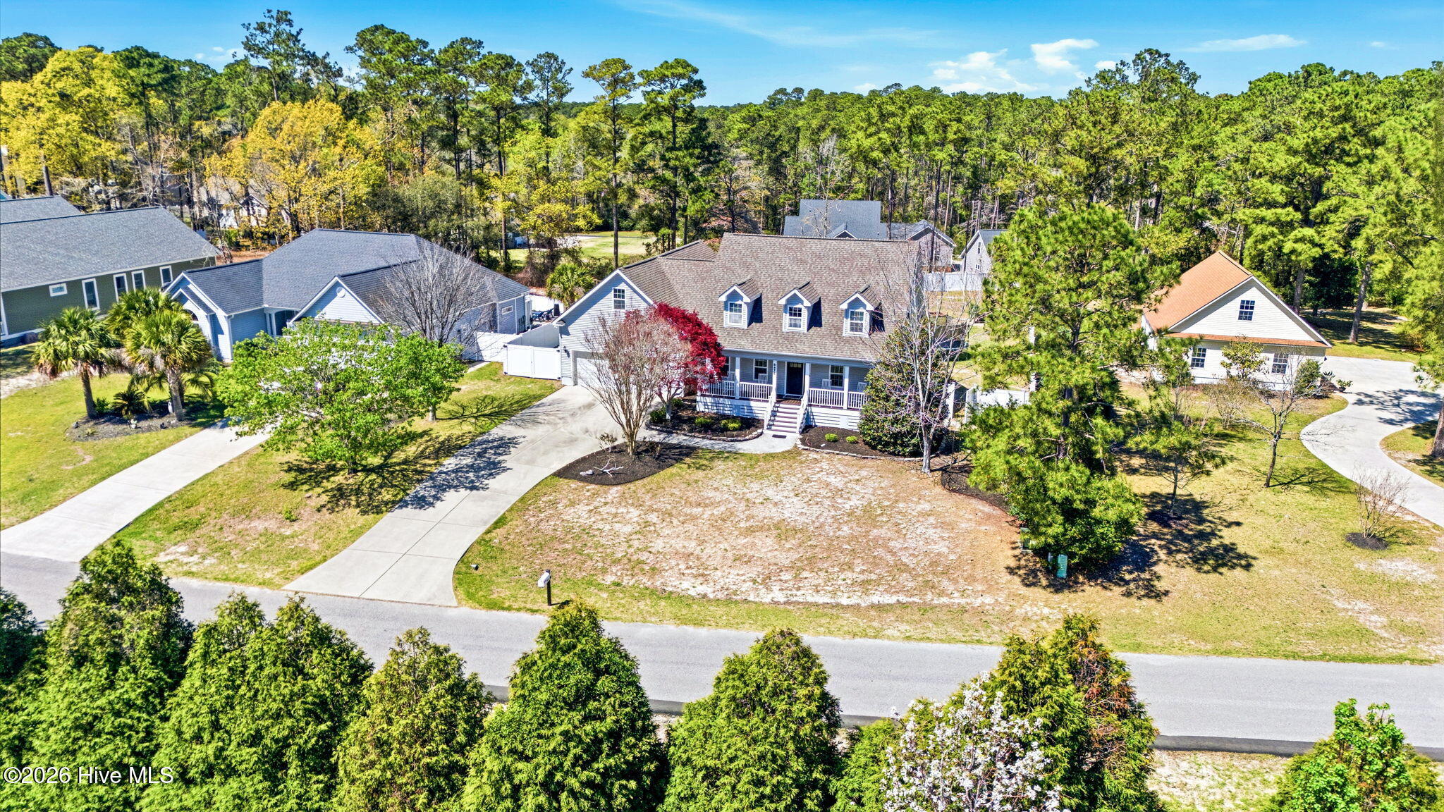 100563483 | Photo 53