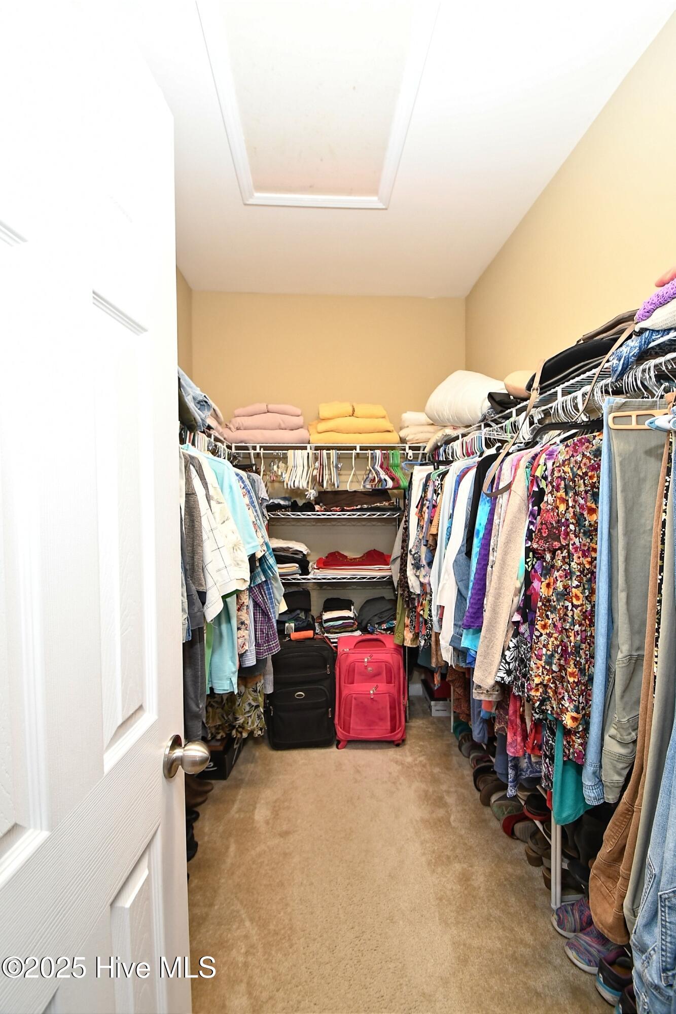 100541260 | Photo 18