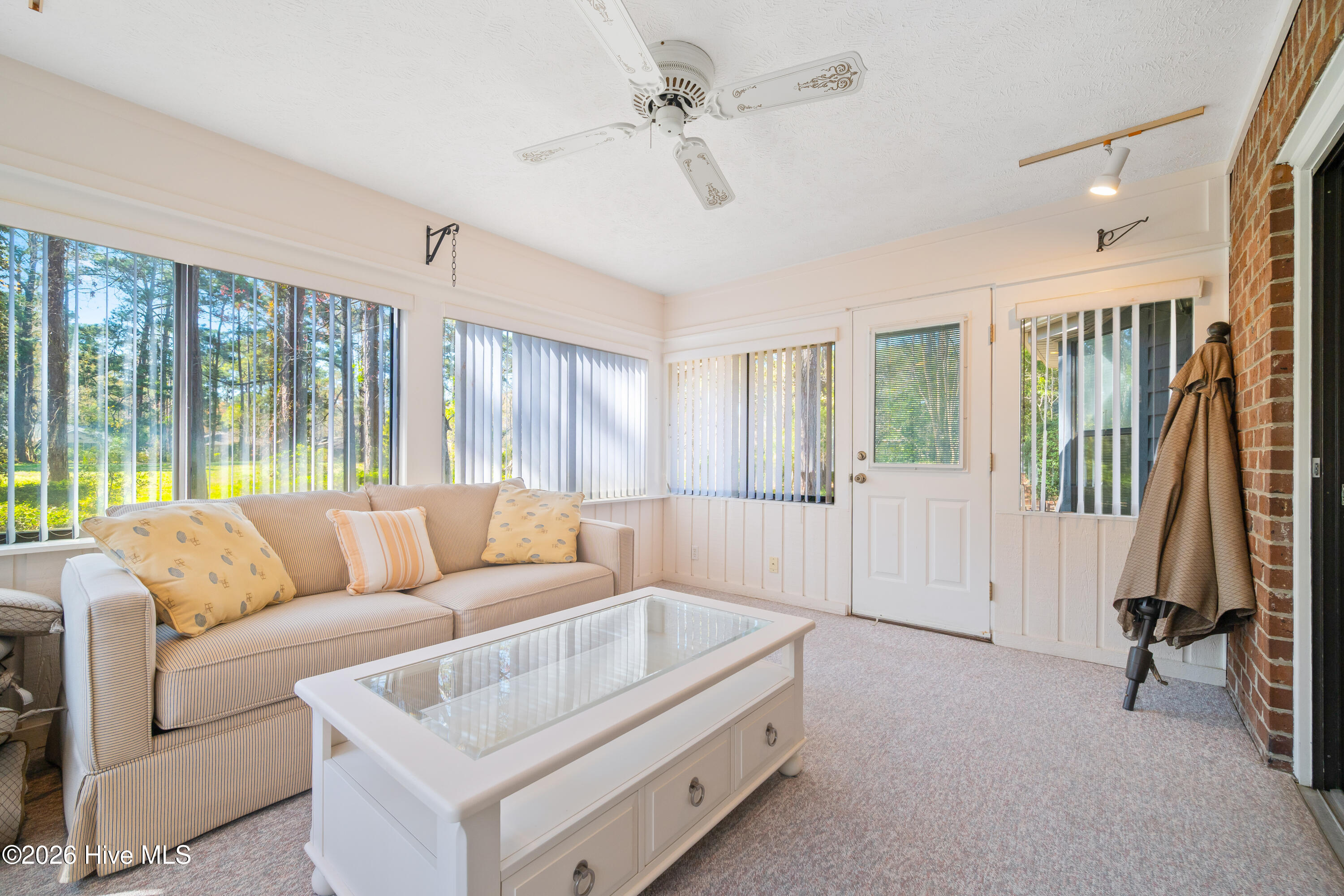 100563412 | Photo 24