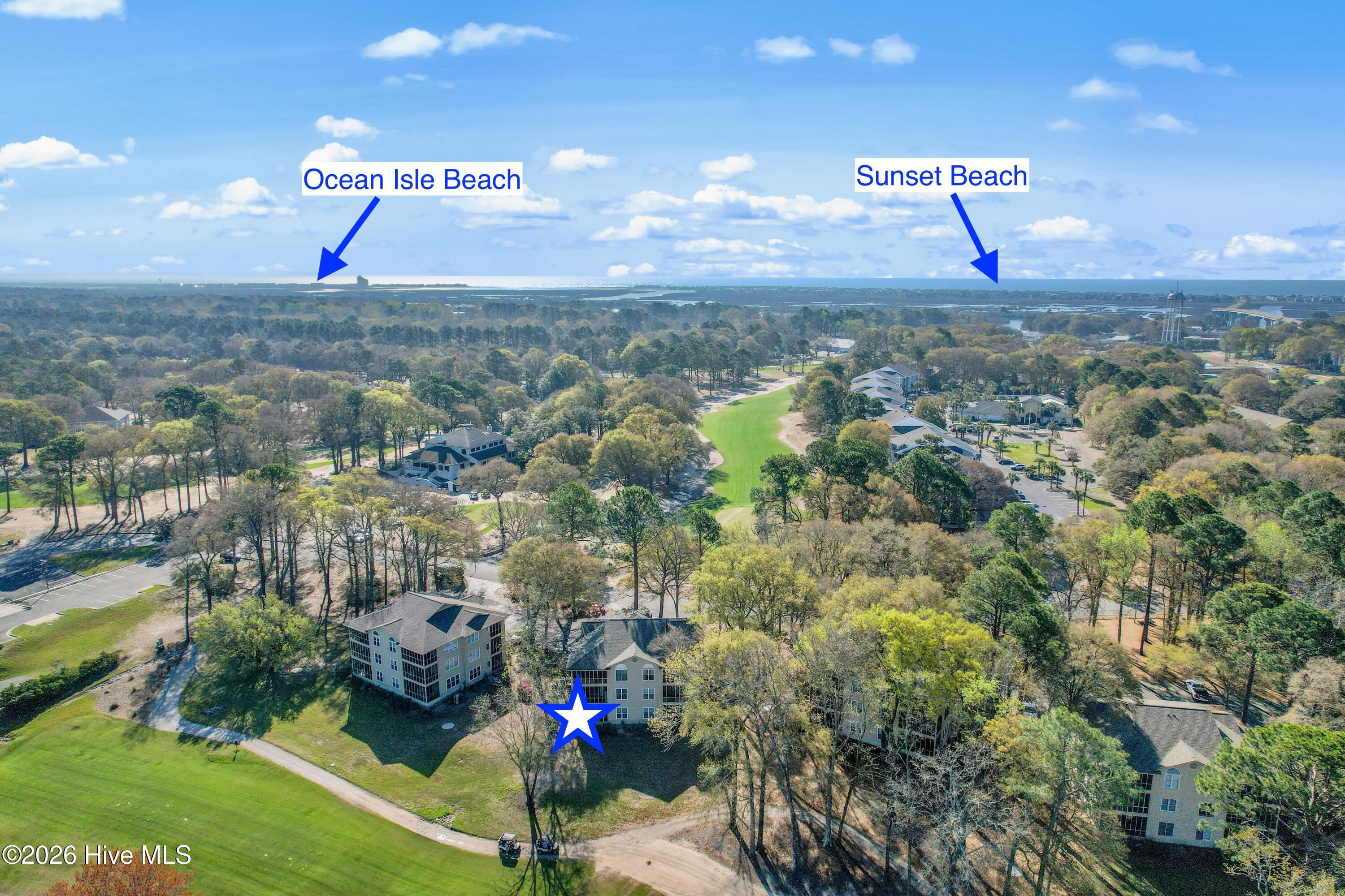 100562302 | Photo 30