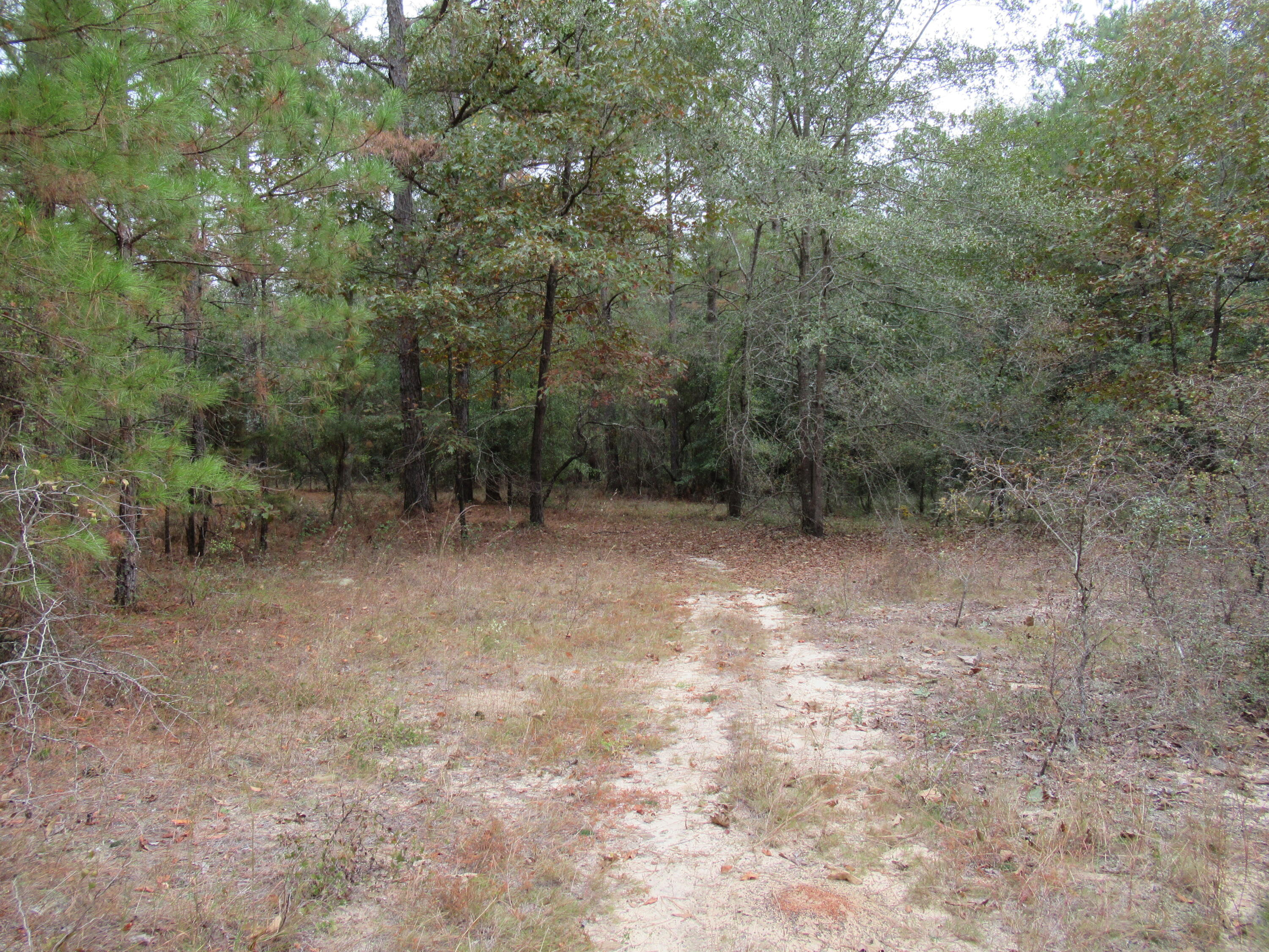 0 TWIN PINES RD., Keysville, GA, 30816