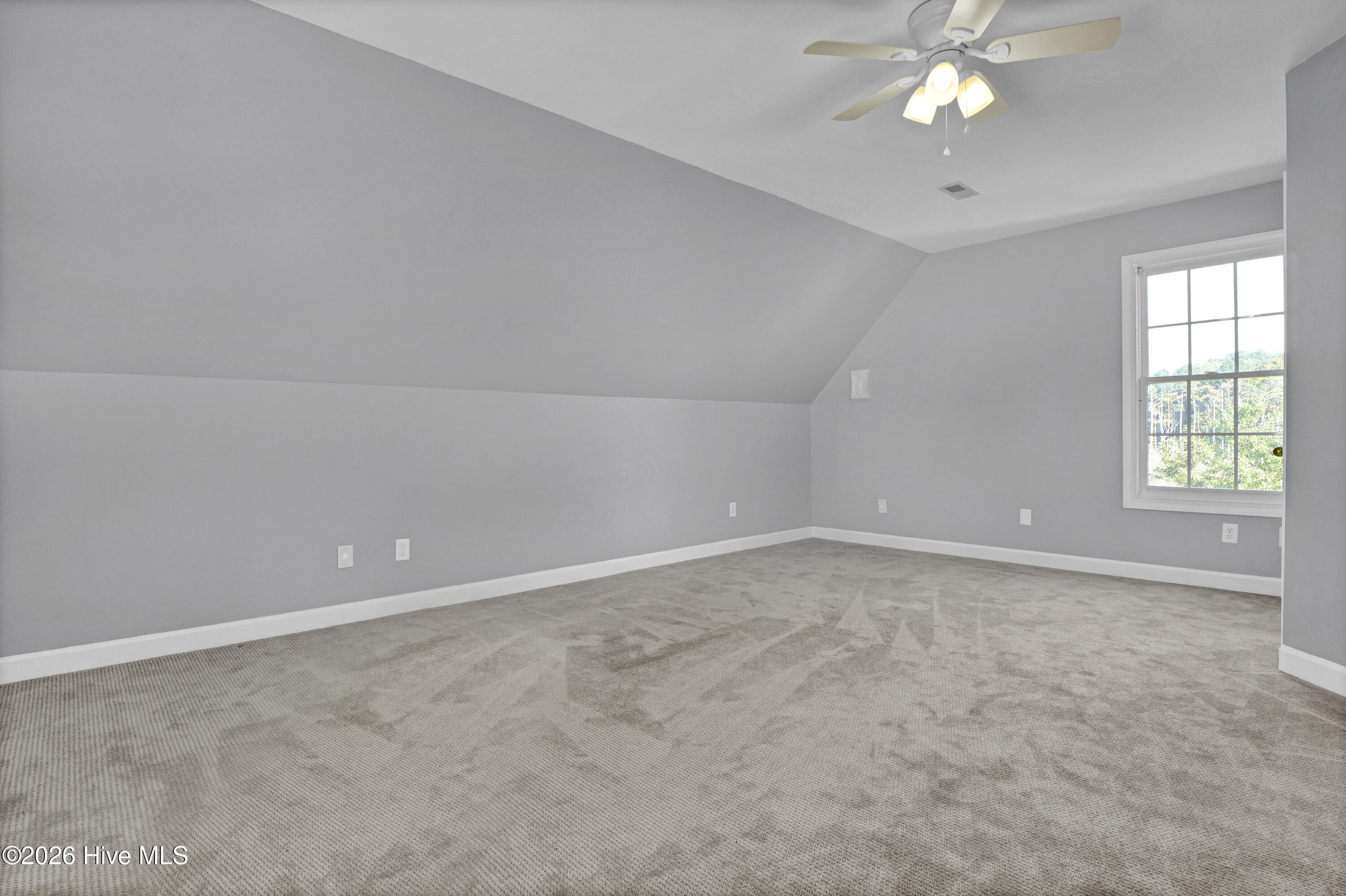 100556880 | Photo 23