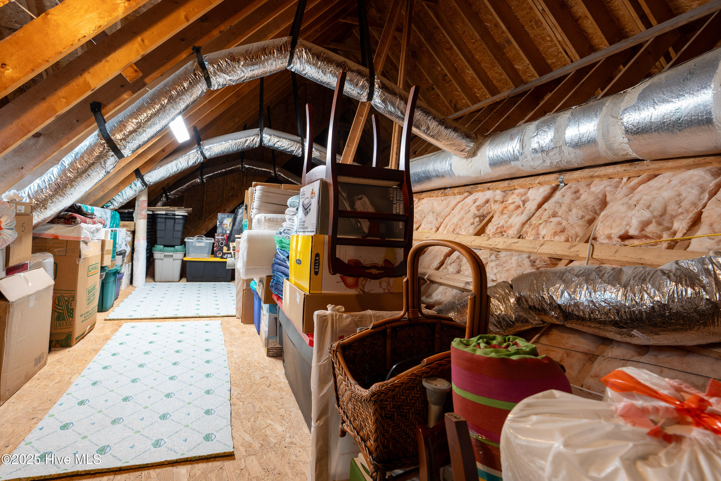 100535397 | Photo 51