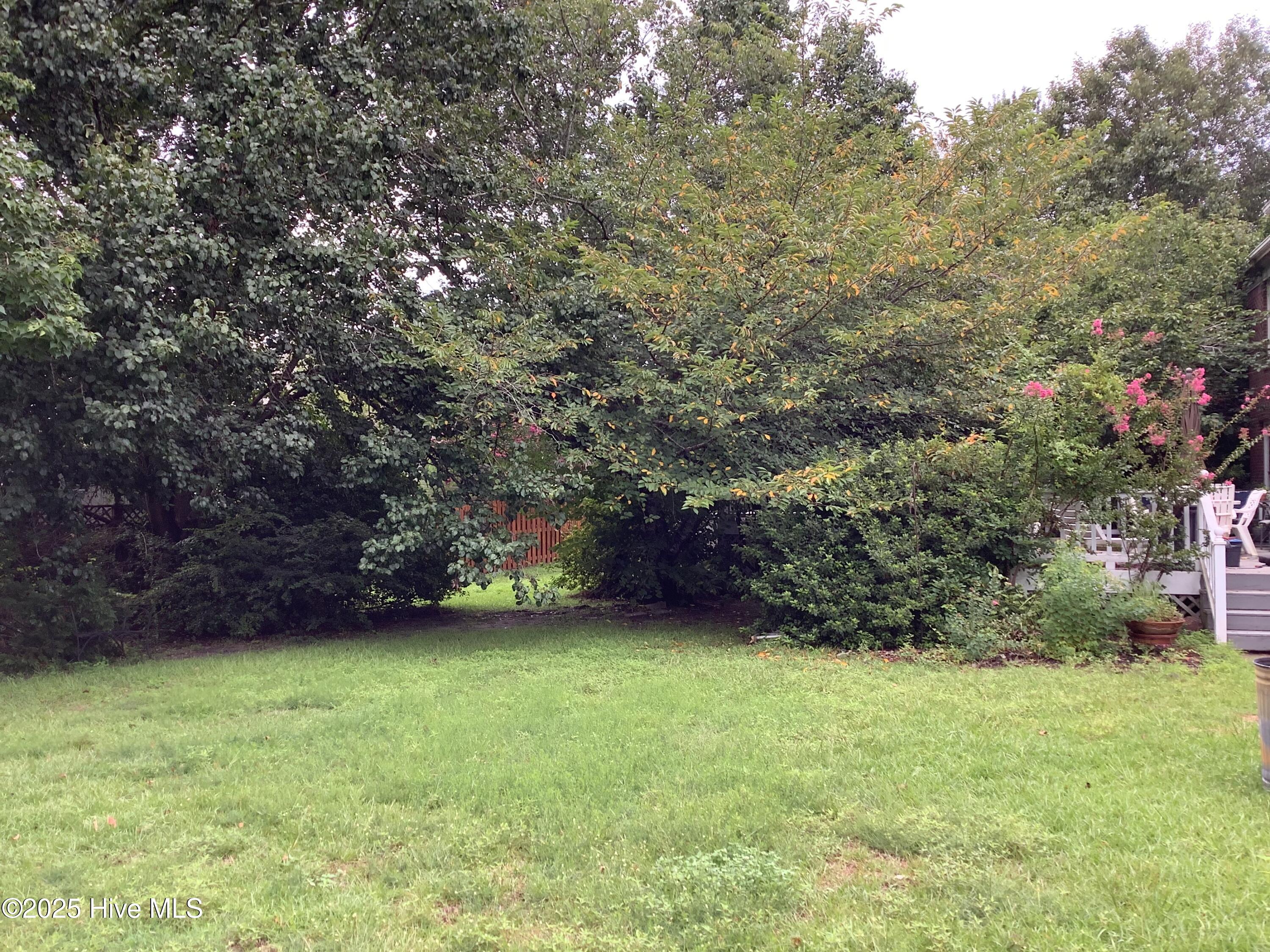 100524390 | Photo 39