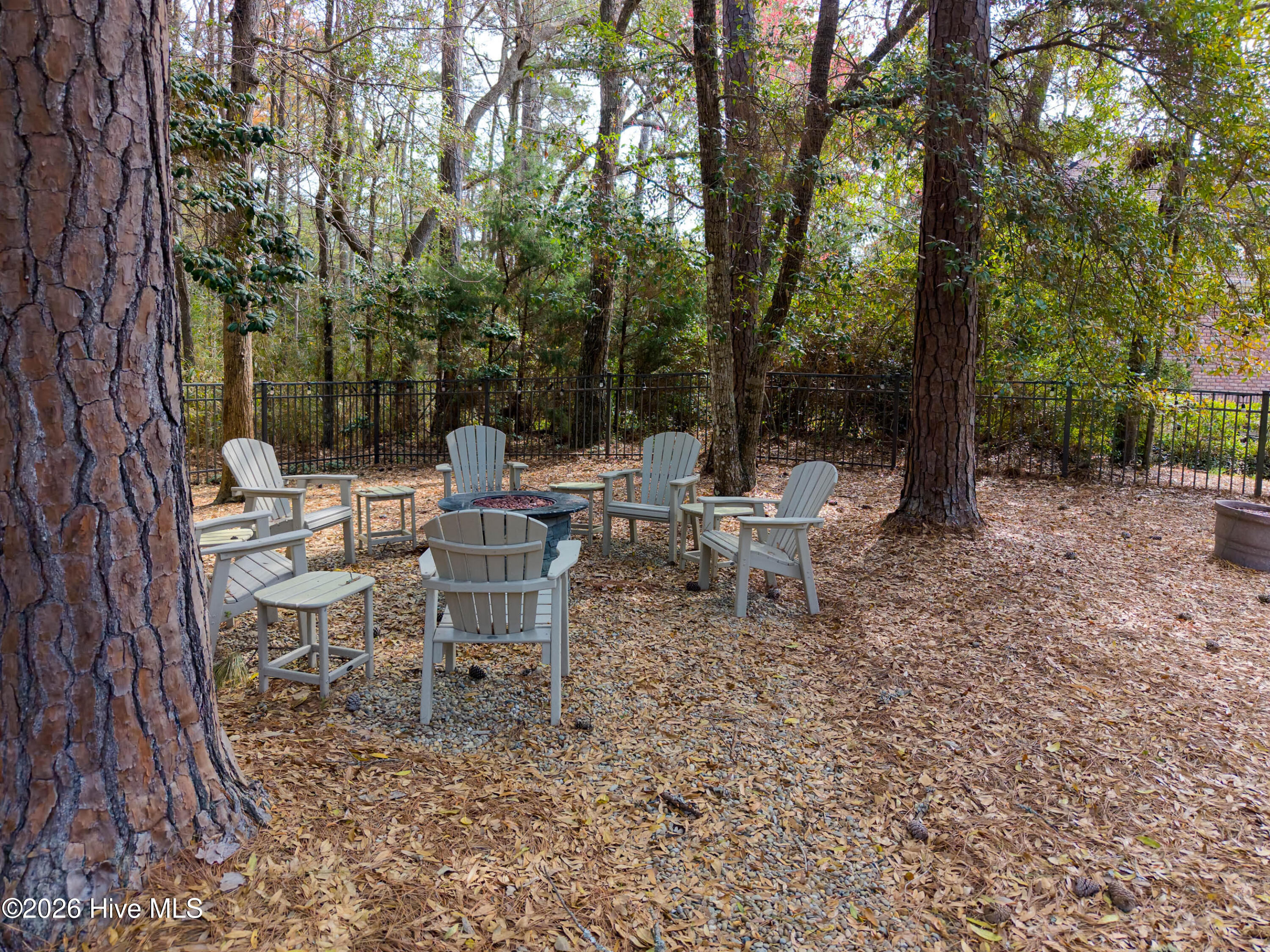 100563976 | Photo 40