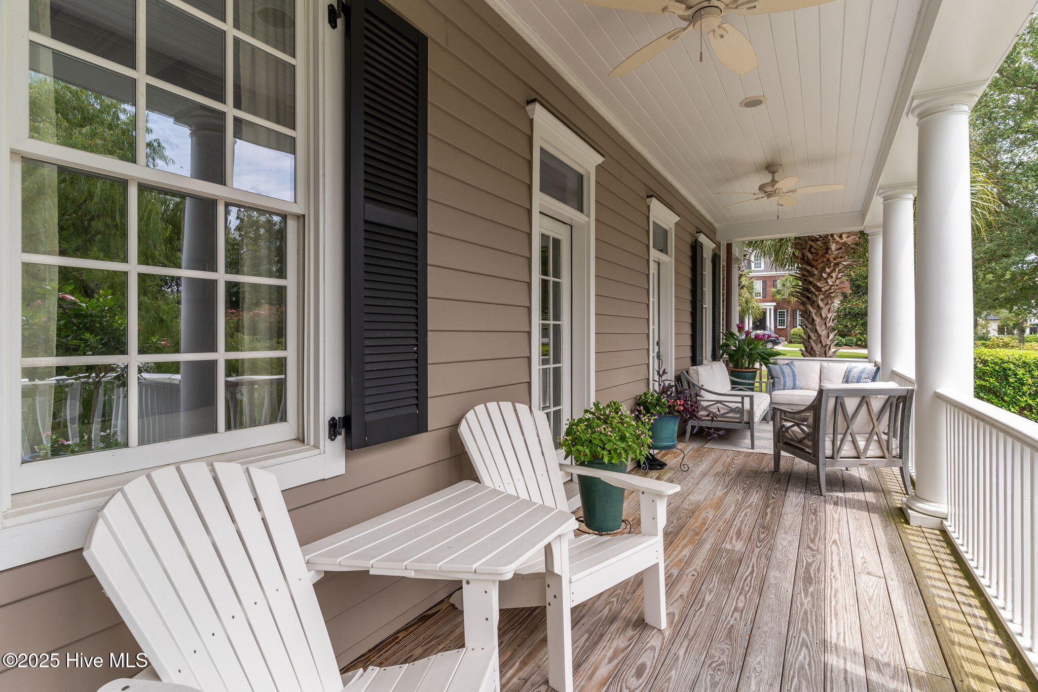 100553124 | Photo 65