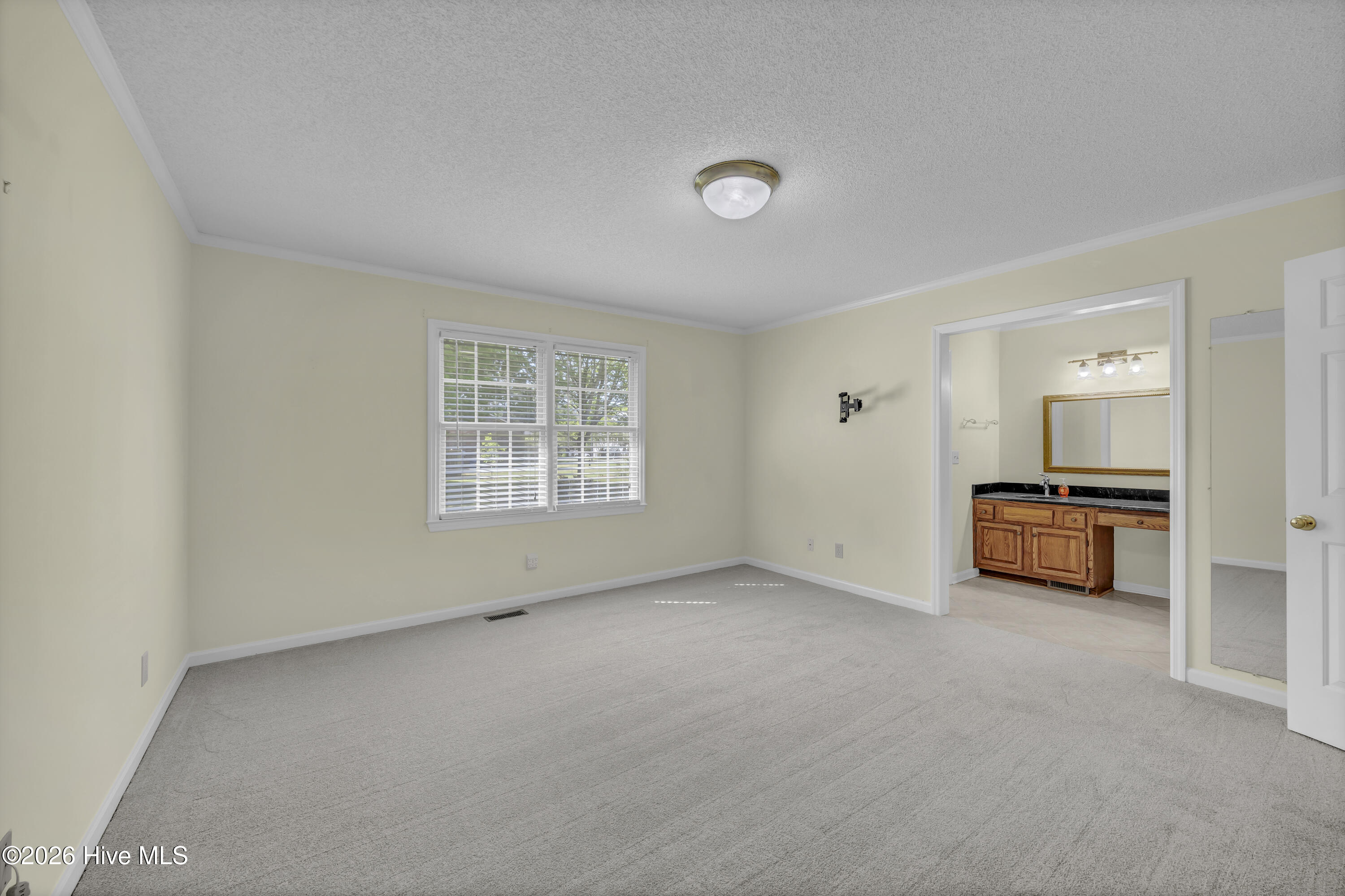 100567134 | Photo 14